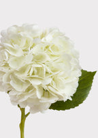 Cream White Hydrangea Real Touch Fake Flower - 18.5"