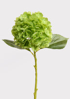 Hydrangea Real Touch Fake Flower in Green - 18.5"