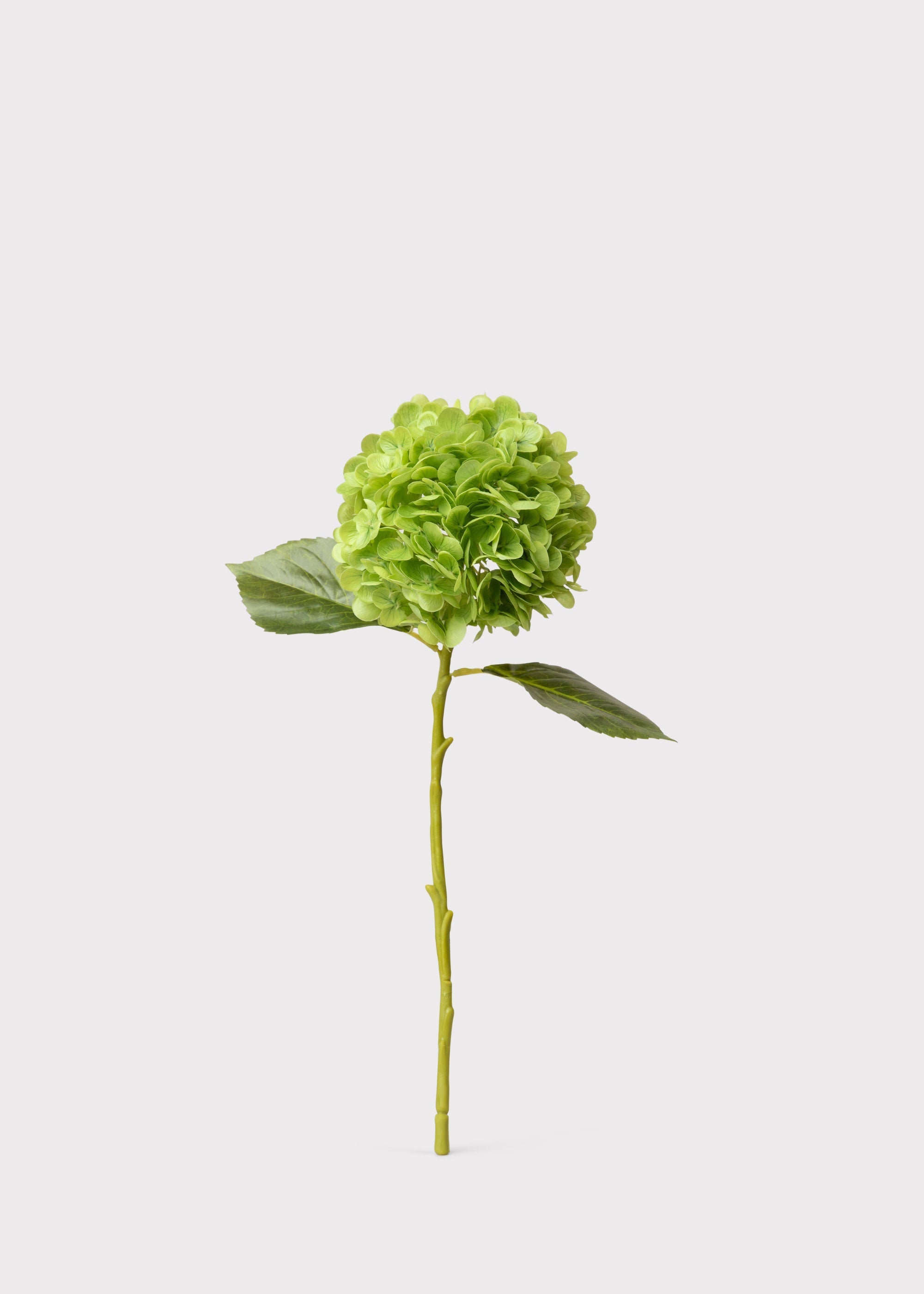 Hydrangea Real Touch Fake Flower in Green - 18.5"