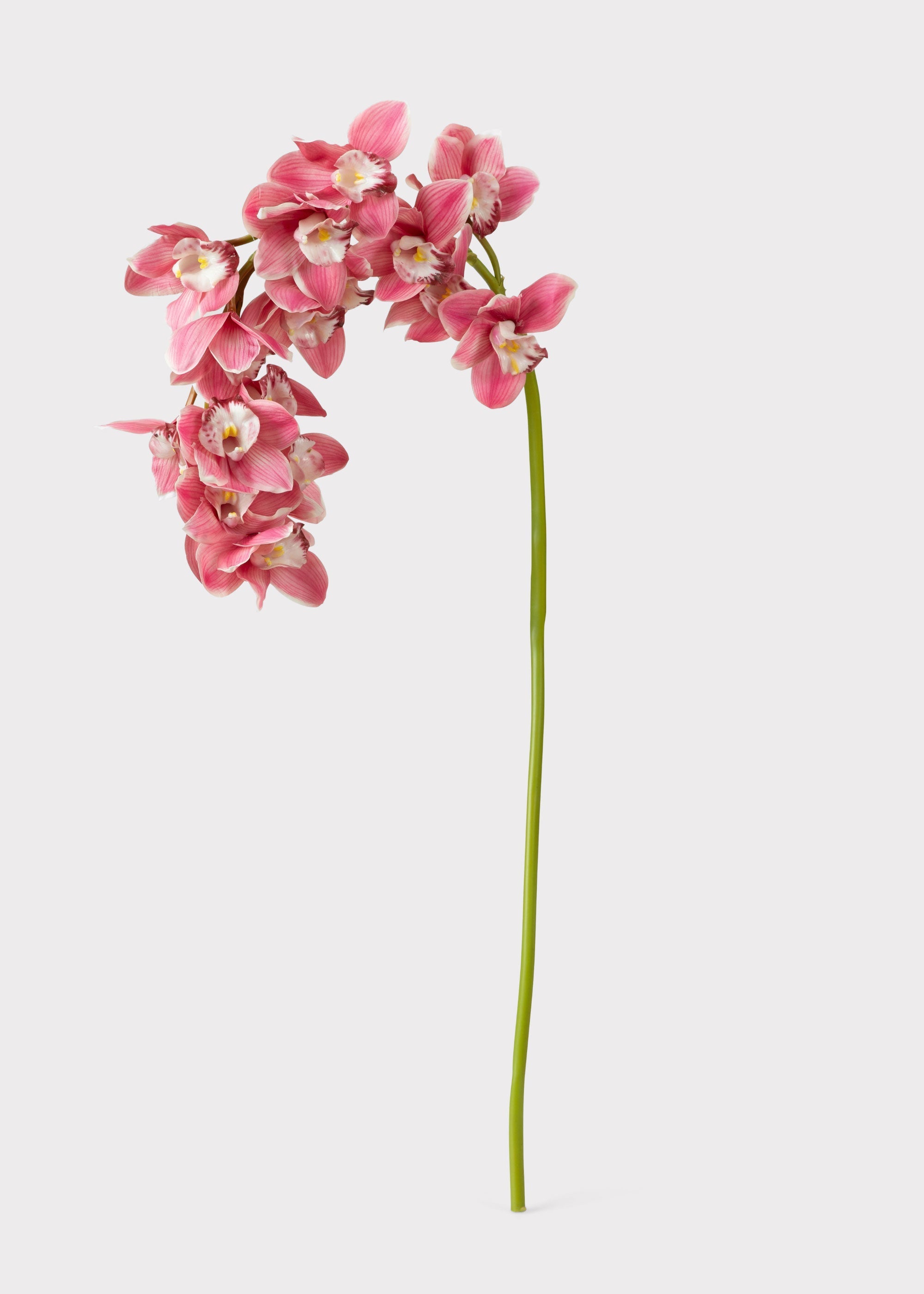 Pink Large Natural Touch Cymbidium Orchid - 45"