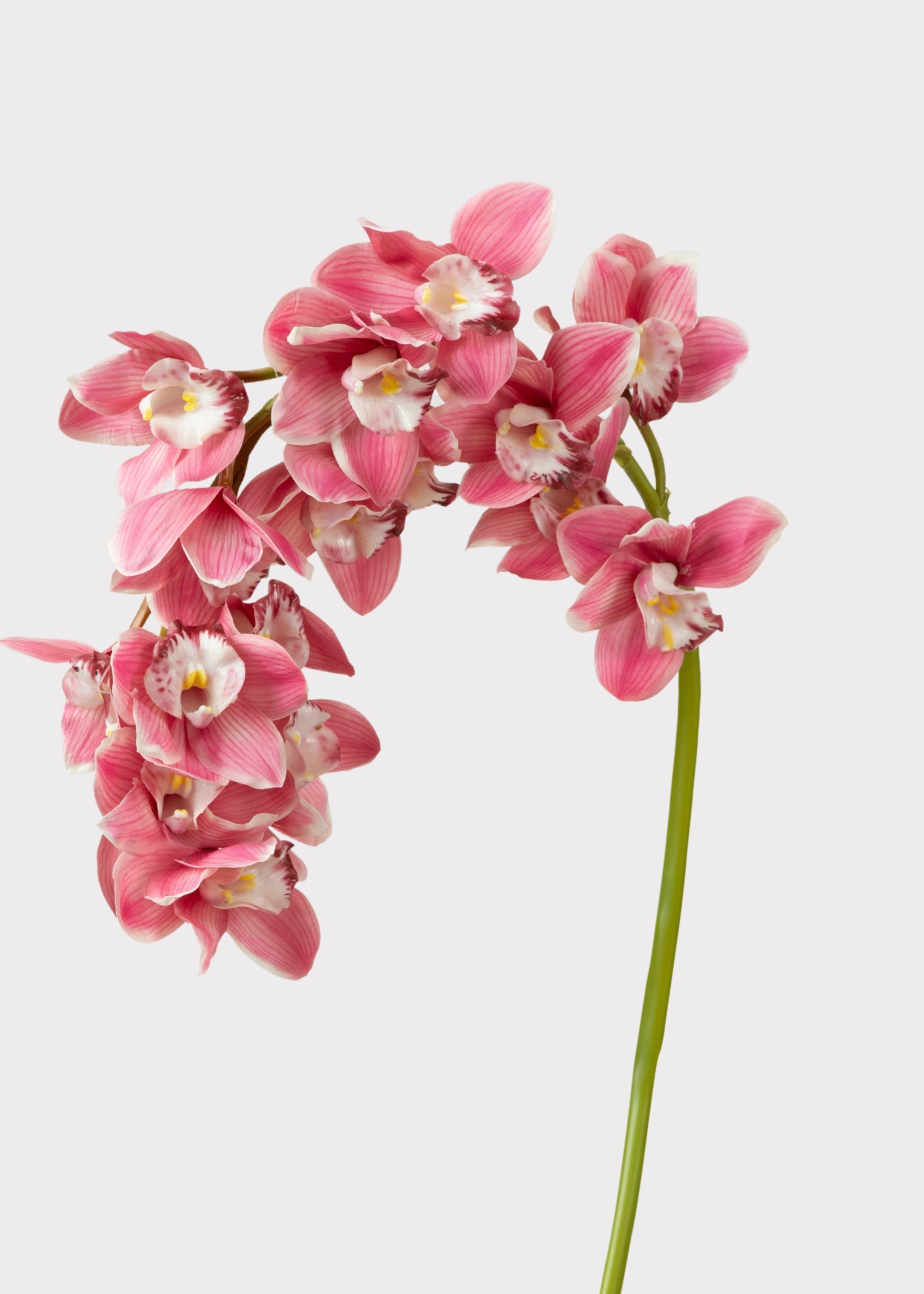 Pink Large Natural Touch Cymbidium Orchid - 45"