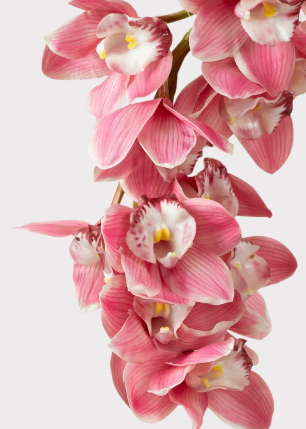Pink Large Natural Touch Cymbidium Orchid - 45"