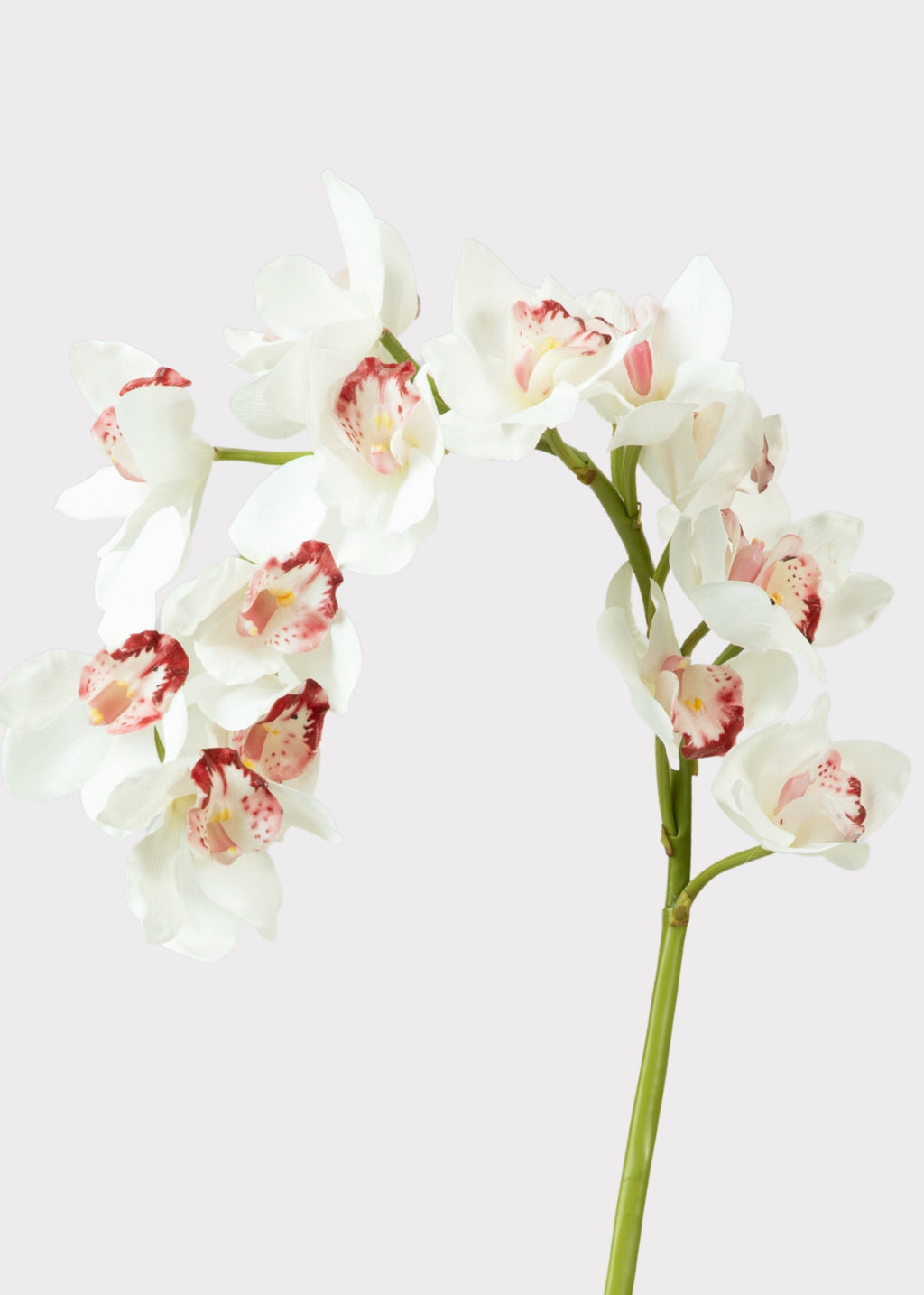Large Natural Touch Cymbidium Orchid in White - 45"