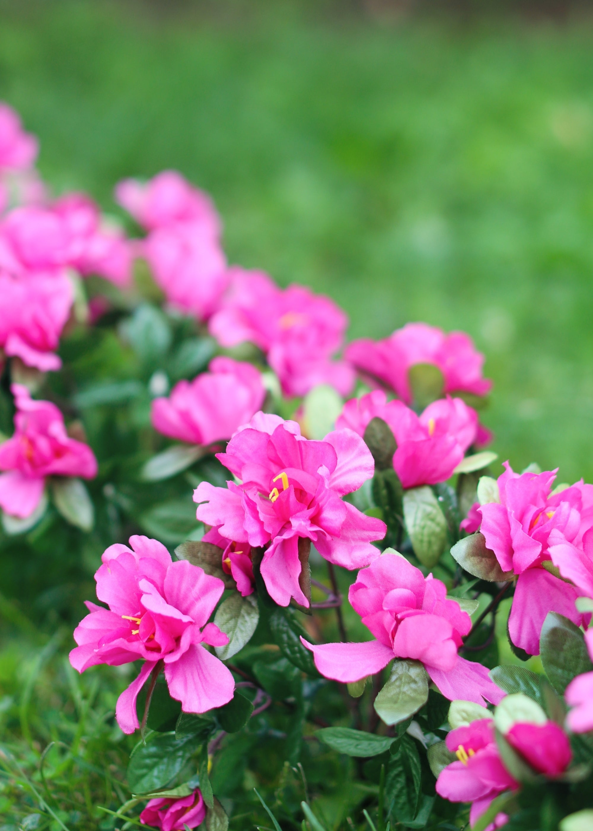UV Treated Indoor/Outdoor Fake Azalea Hanging Bush - 24"
