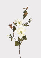 Artificial Blooming Magnolia Branch in Cream - 38"