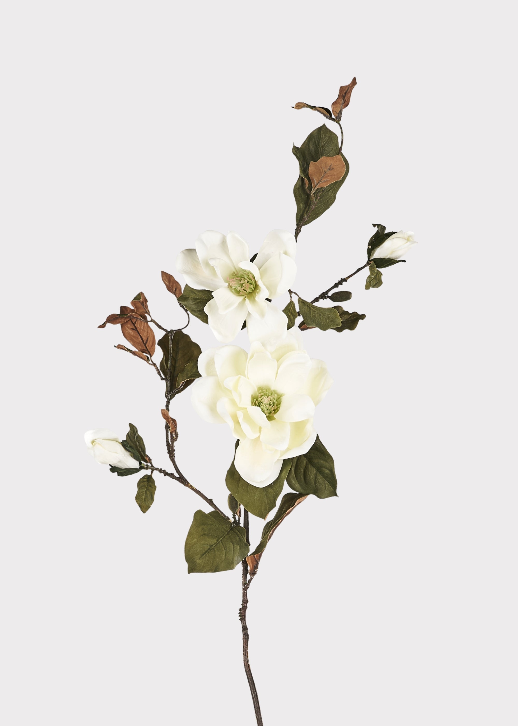 Artificial Blooming Magnolia Branch in Cream - 38"