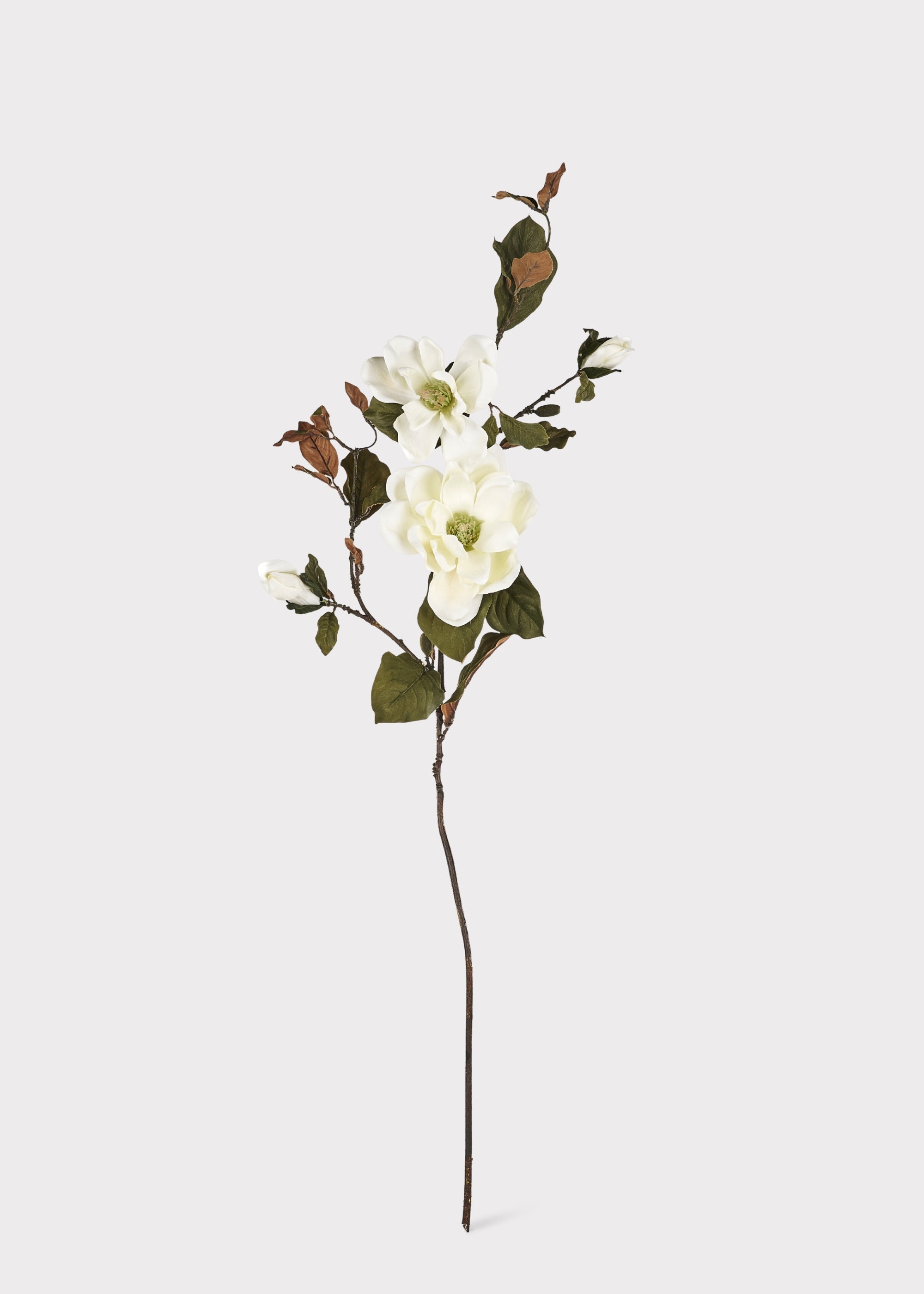 Artificial Blooming Magnolia Branch in Cream - 38"