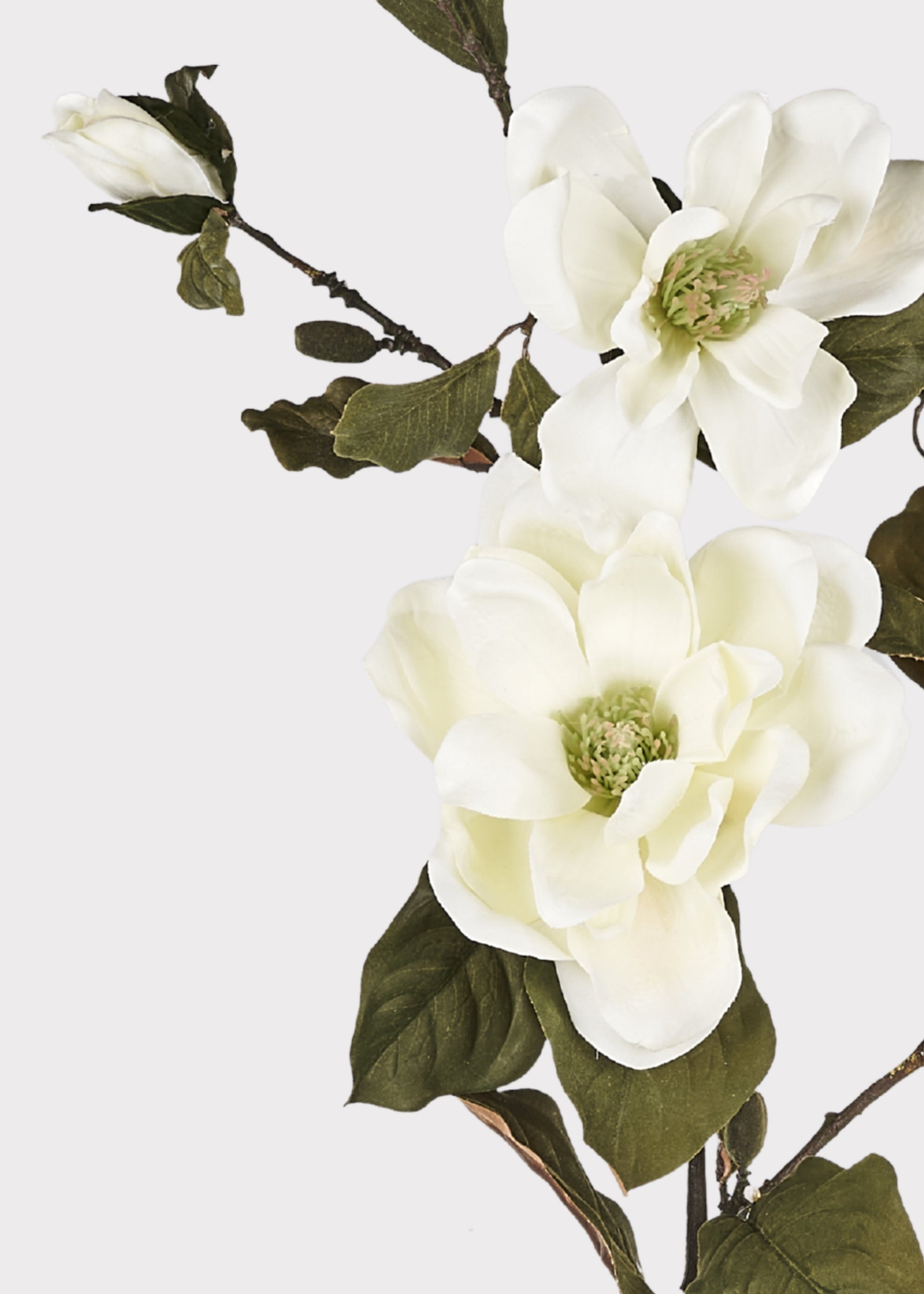 Artificial Blooming Magnolia Branch in Cream - 38"