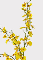 Yellow Natural Touch Oncidium Orchid Plant in Clay Pot - 29"