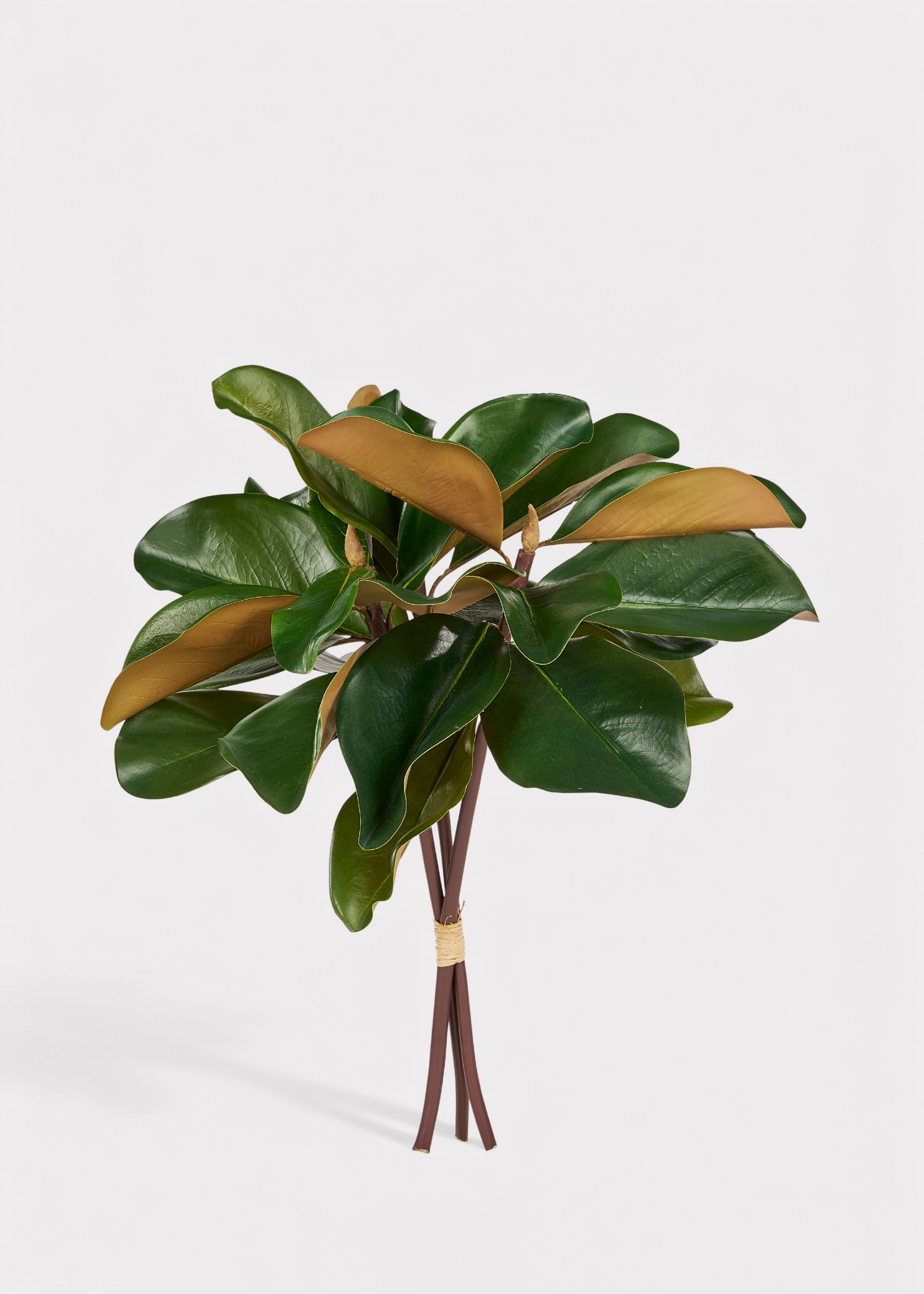 Artificial Magnolia 3-Stem Bundle - 18"