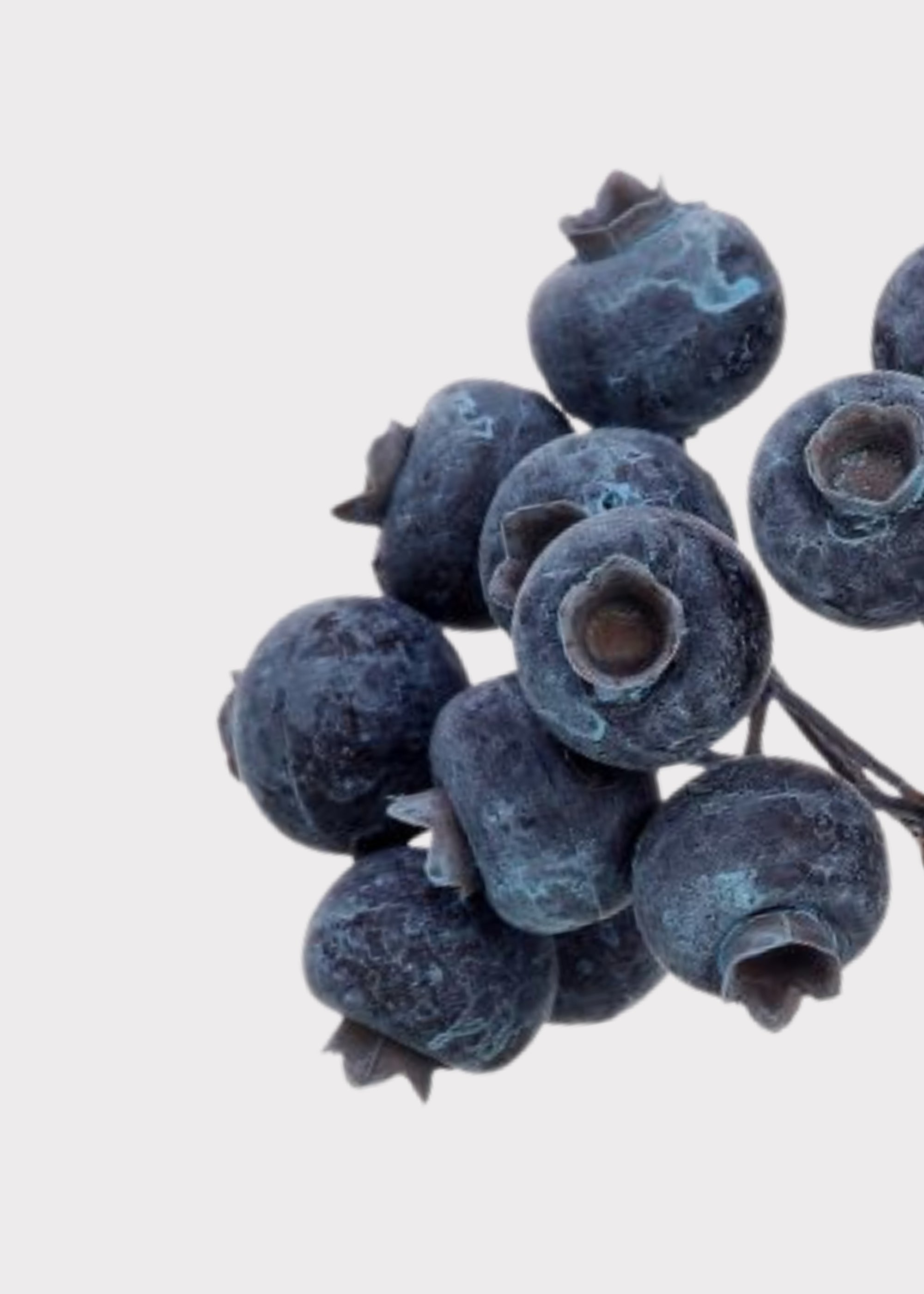 Waterproof Artificial Holiday Berry Pick in Blue - 9"