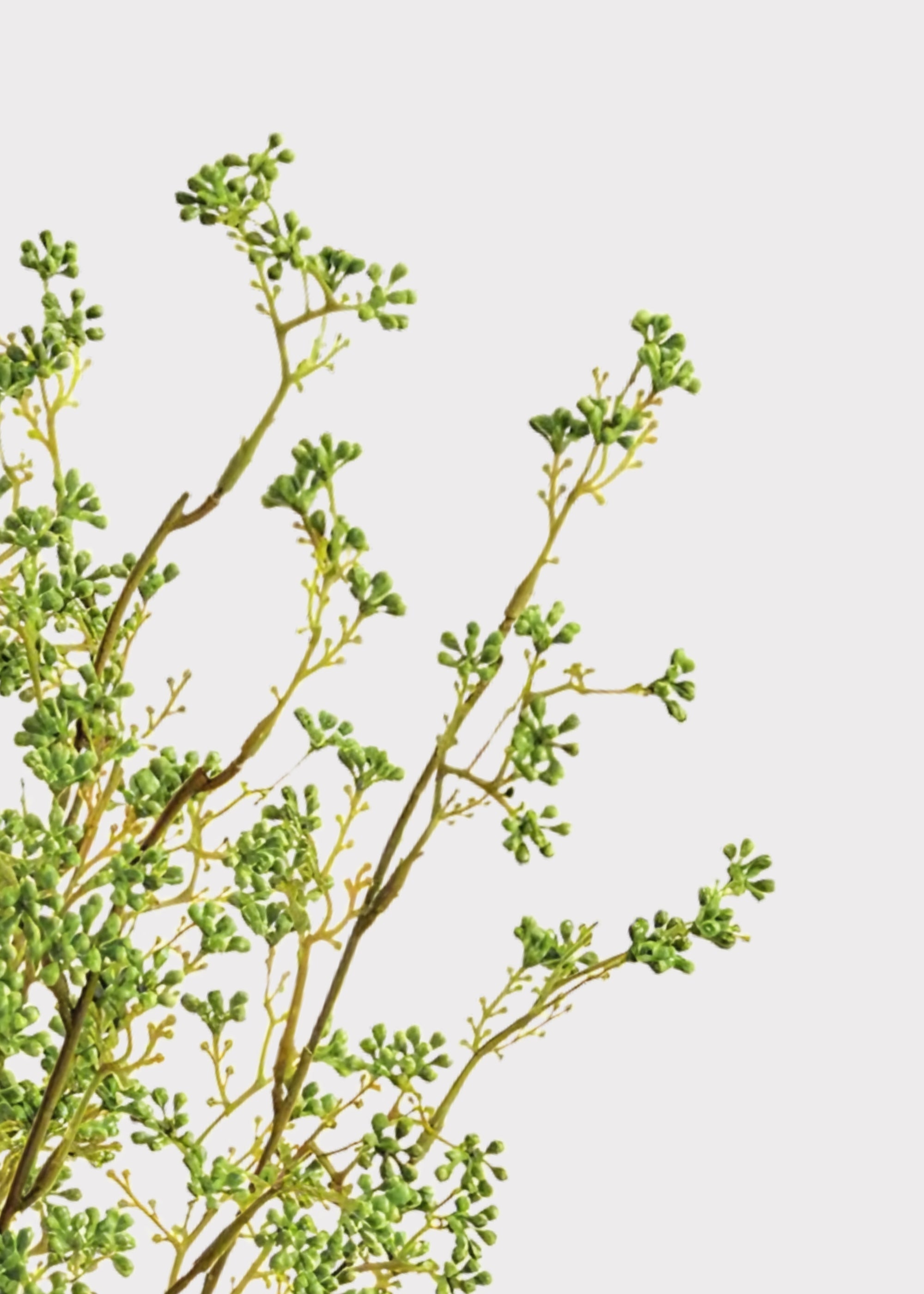 Green Artificial Berry Cluster Bush - 21"