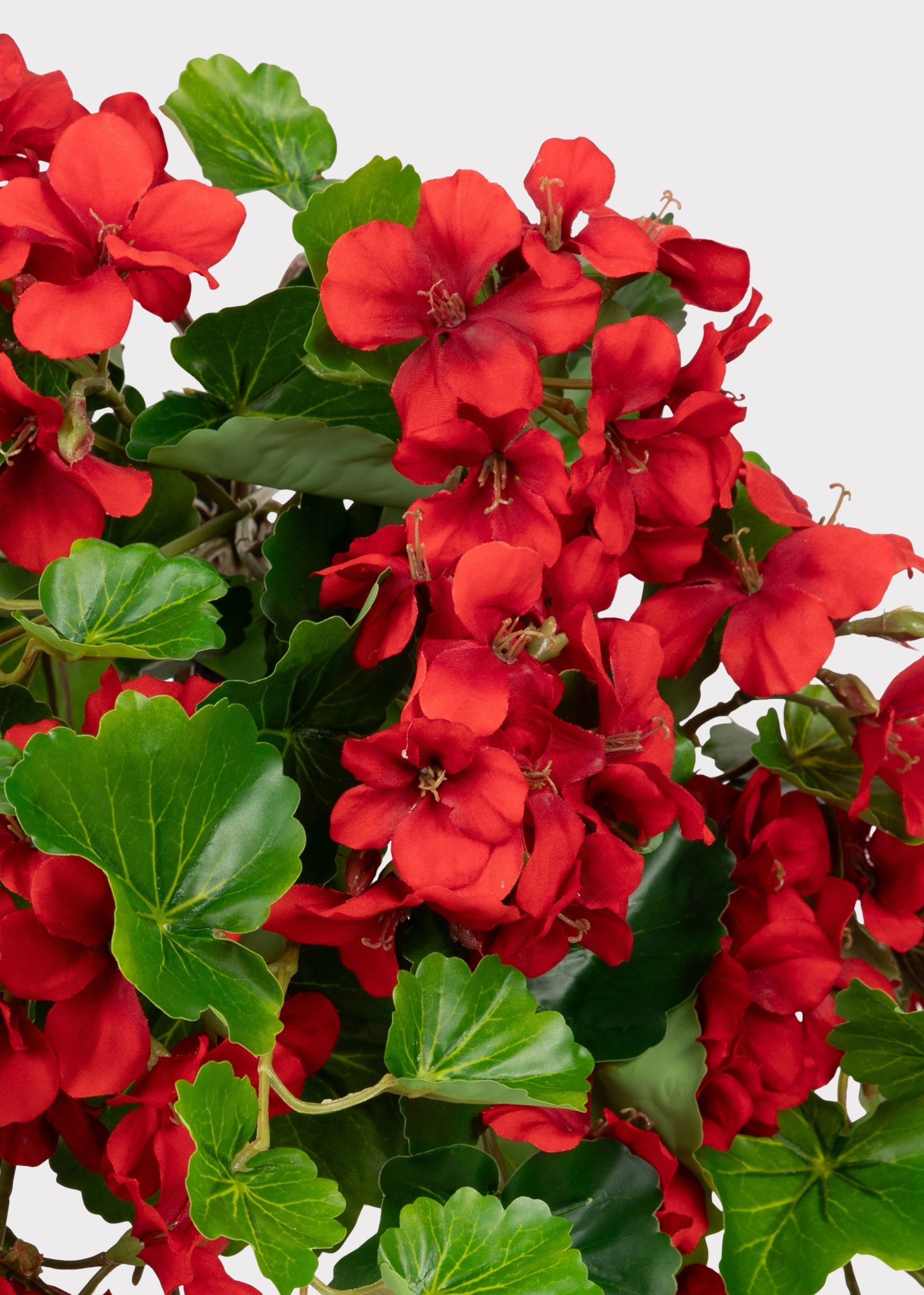 UV Treated Indoor/Outdoor Fake Geranium Hanging Bush - 24"