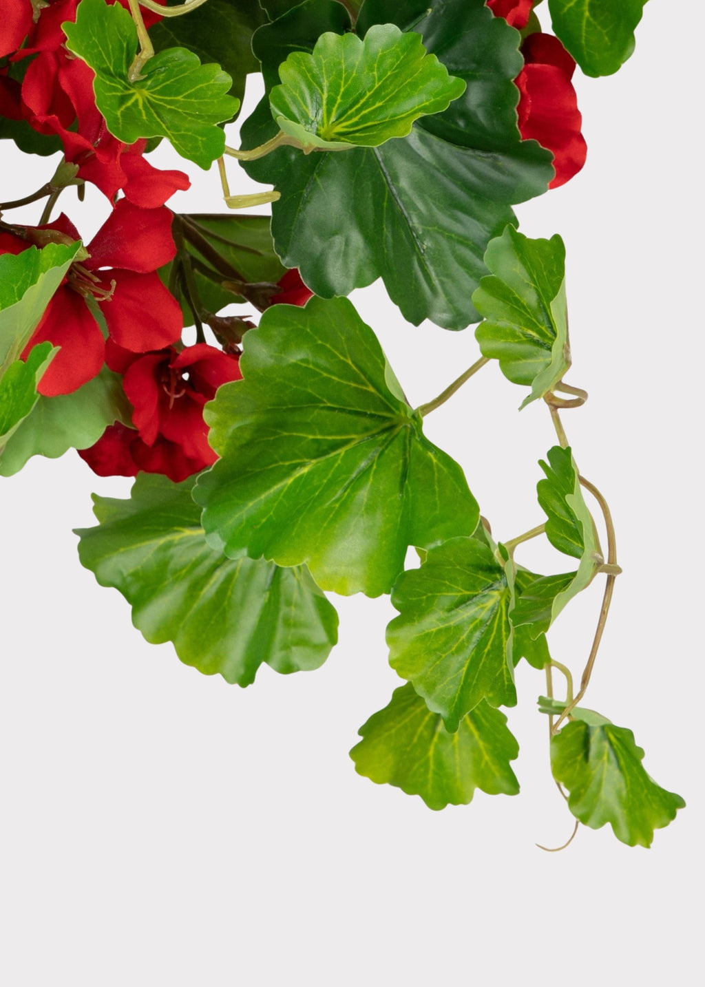 UV Treated Indoor/Outdoor Fake Geranium Hanging Bush - 24"