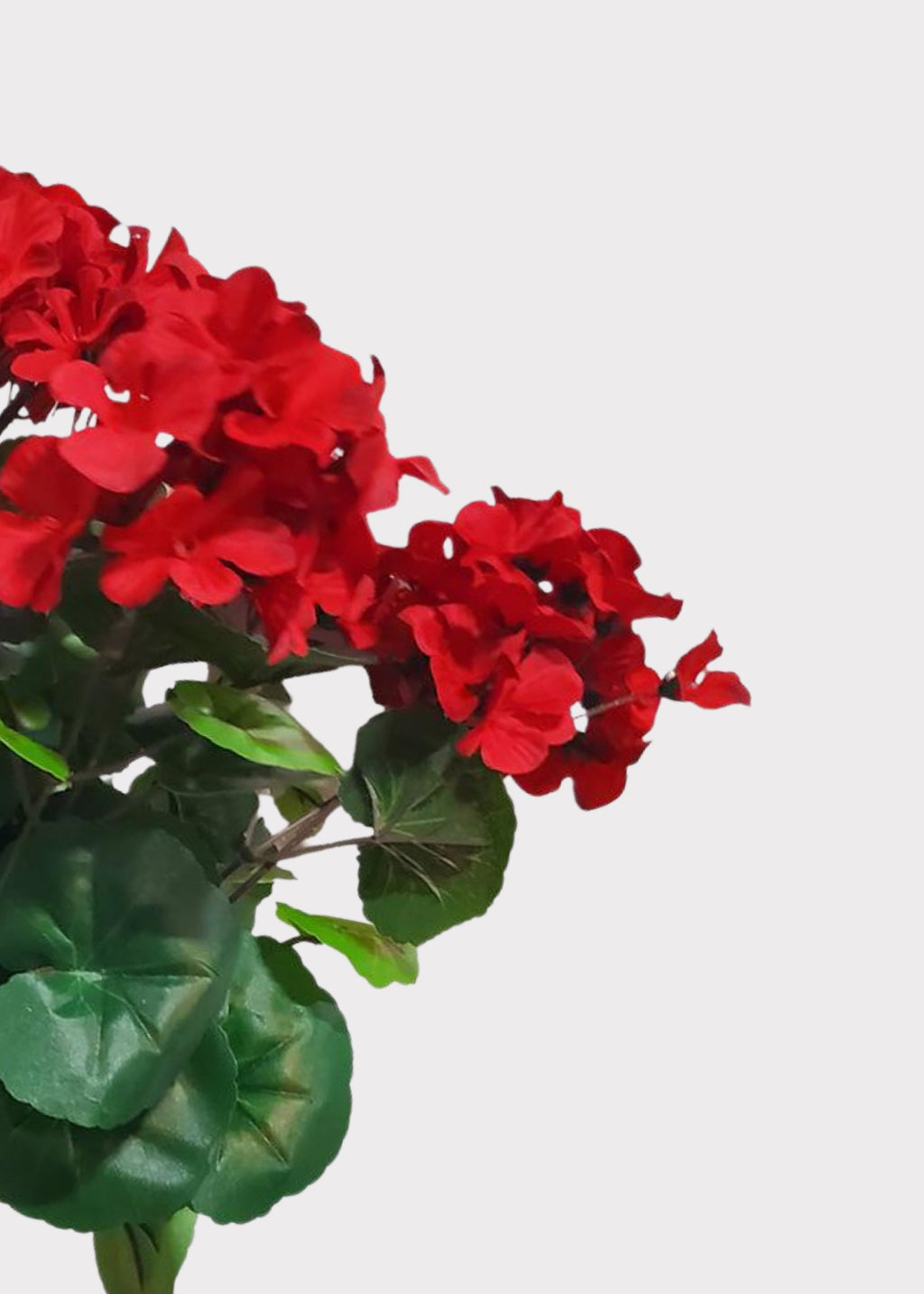 Red Artificial Geranium UV Treated Indoor/Outdoor Bush - 18.5"