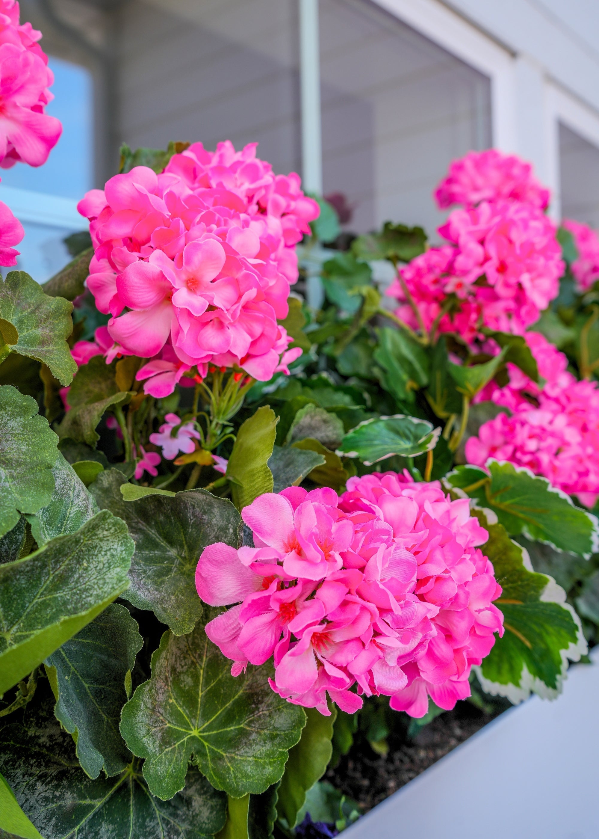 Pink Fake Geranium Indoor/Outdoor Water Resistant Bush - 22"