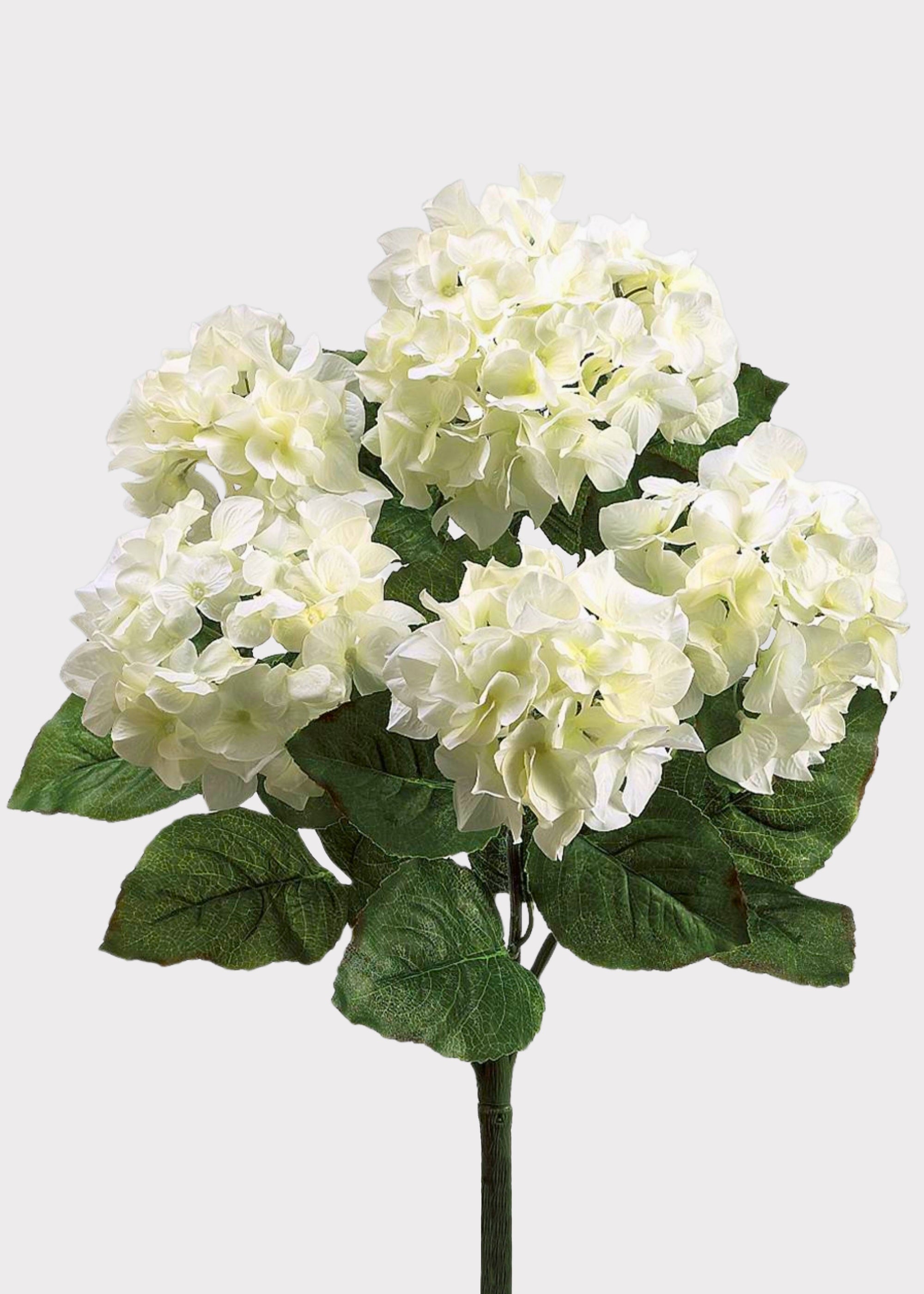 Fake Blooming Hydrangea Bush in Cream White - 22"