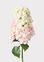 Large Pink Cream Cone Artificial Hydrangea Flower - 40"