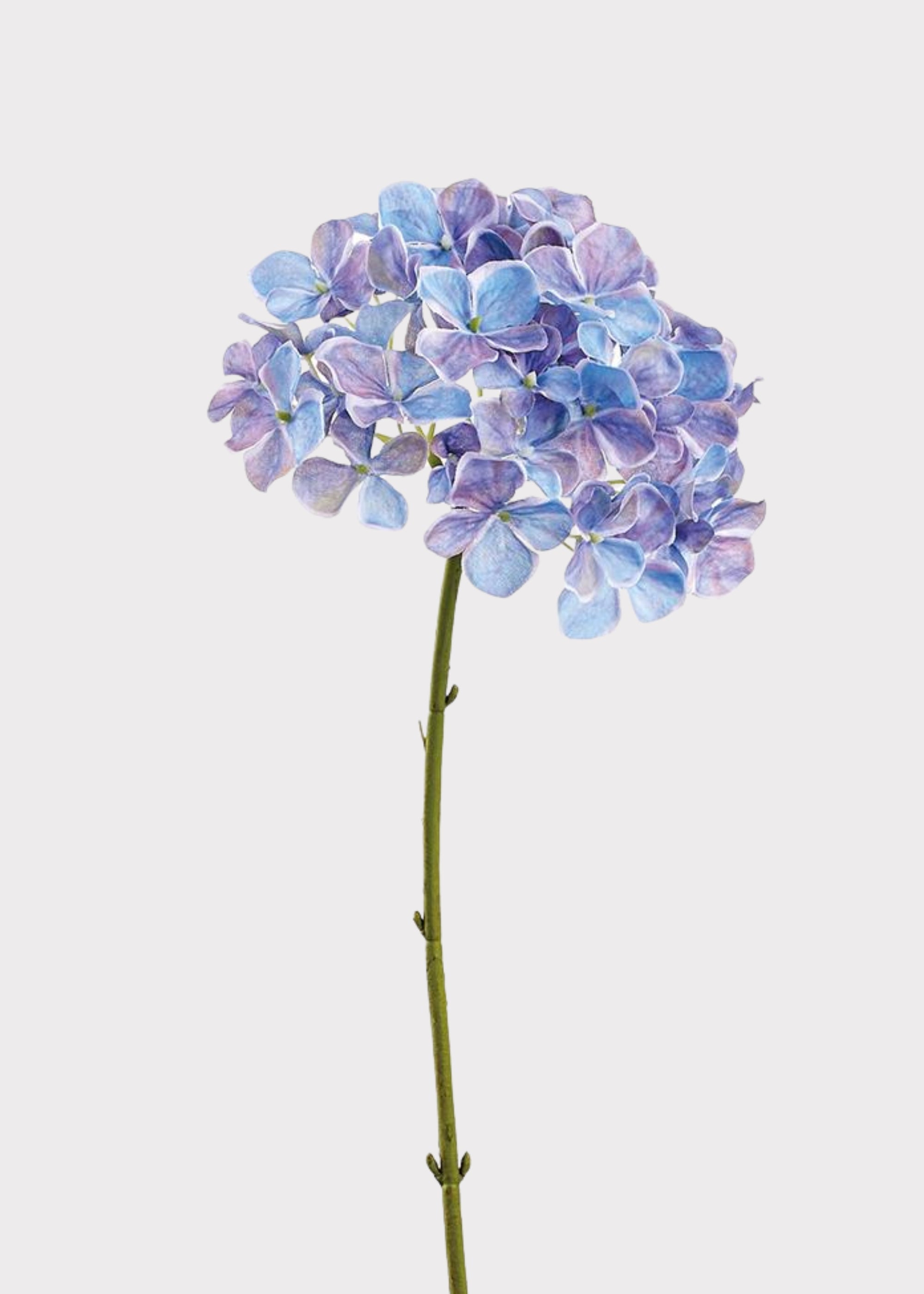Fake Hydrangea Flower in Blue Watercolor Palette - 24.5"