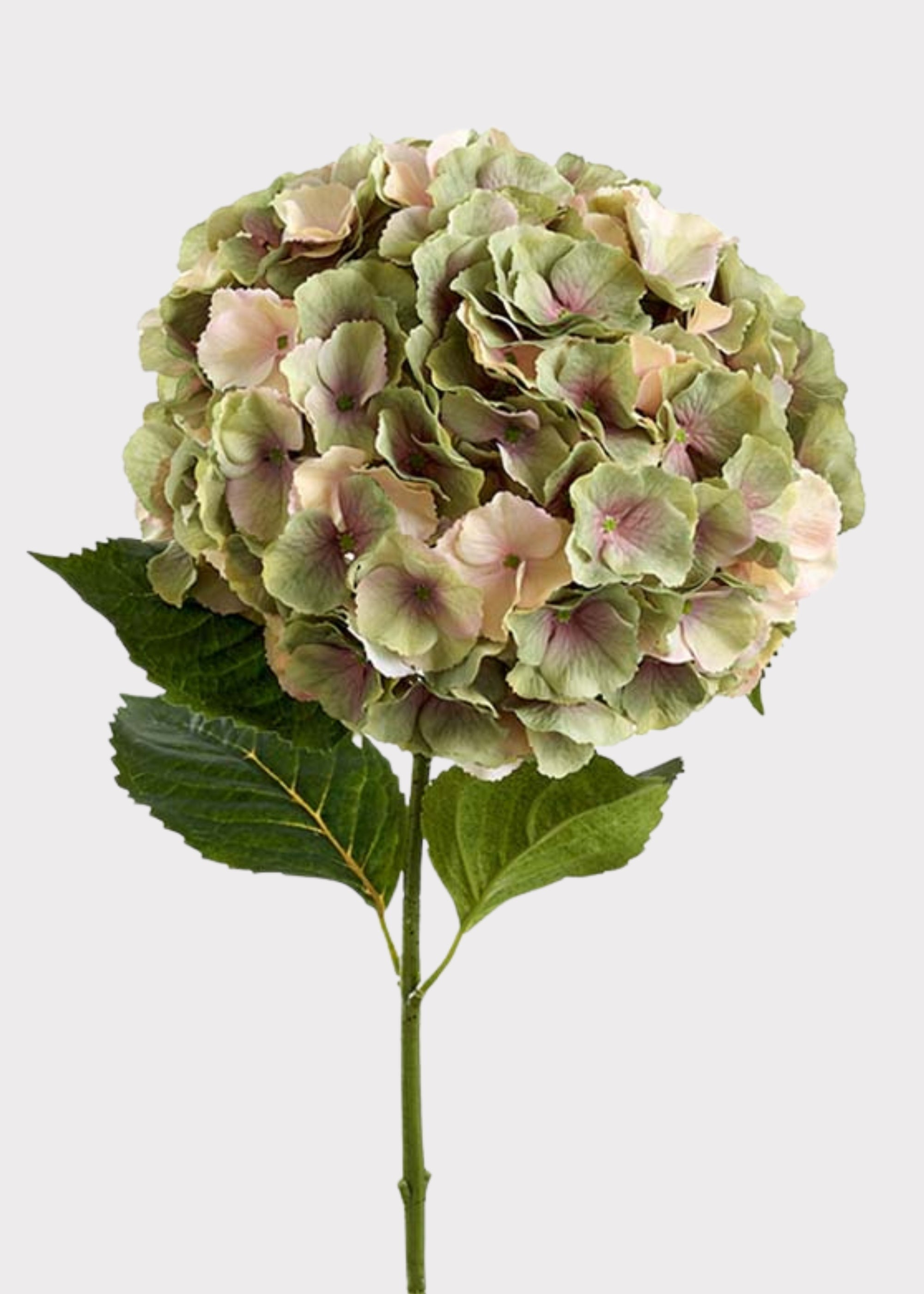 Large Vintage Green and Mauve Fake Hydrangea Flower - 11" Bloom