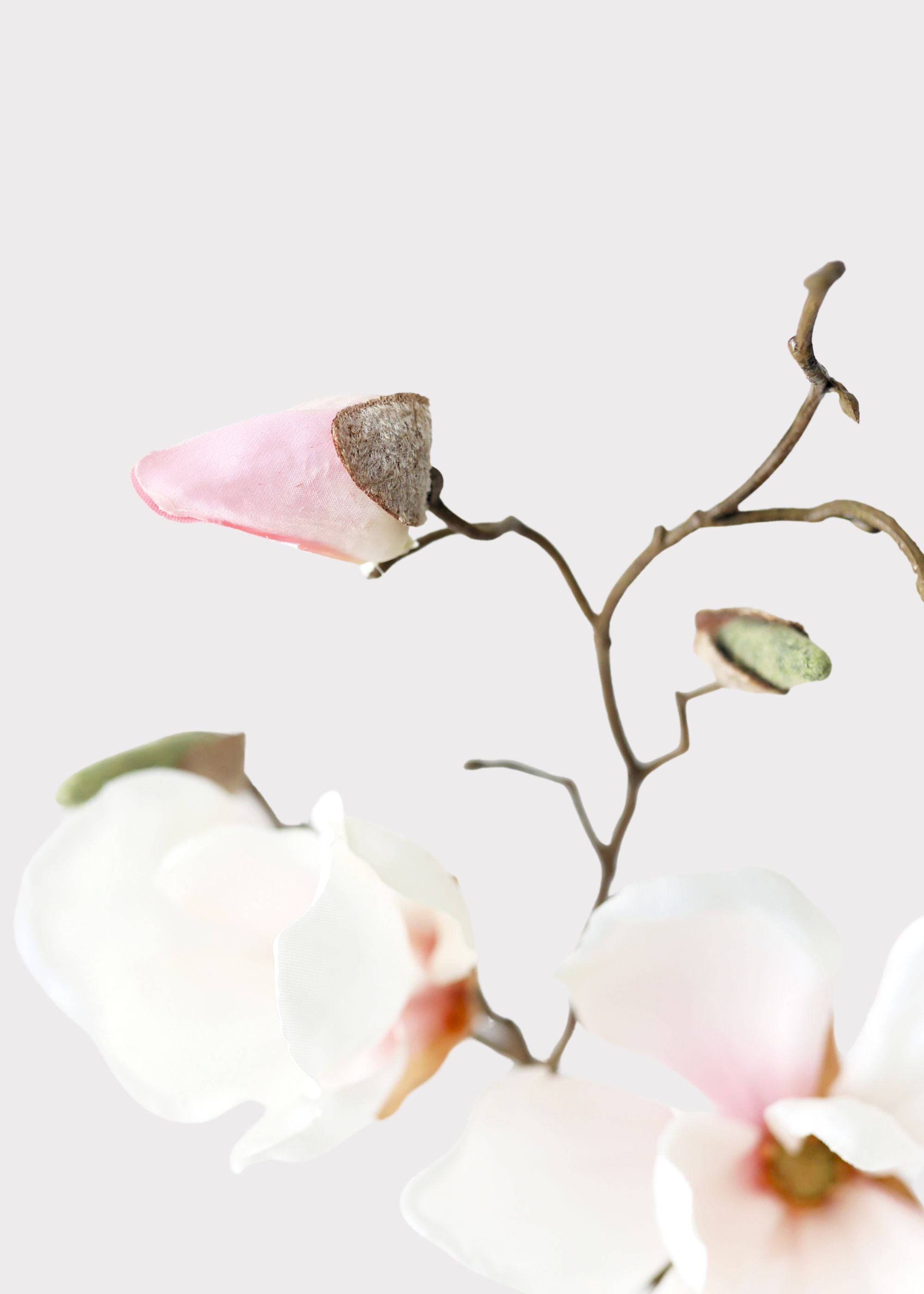 Blush Pink Fake Magnolia Flower Stem - 19"