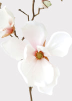 Blush Pink Fake Magnolia Flower Stem - 19"