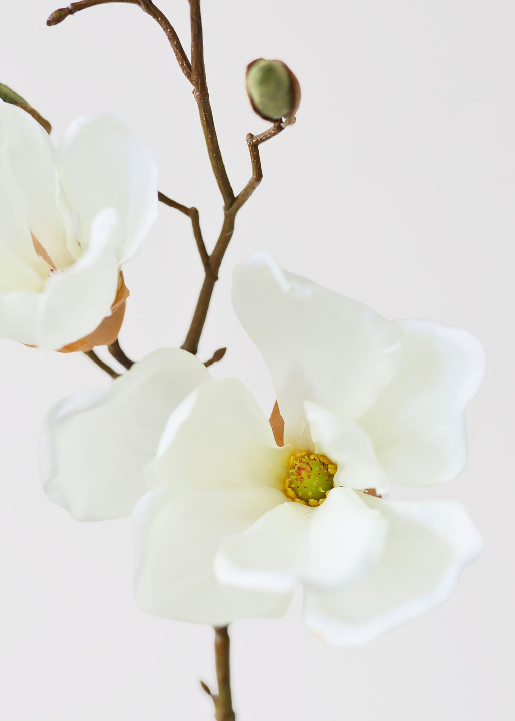 Cream Artificial Magnolia Flower Stem - 19"