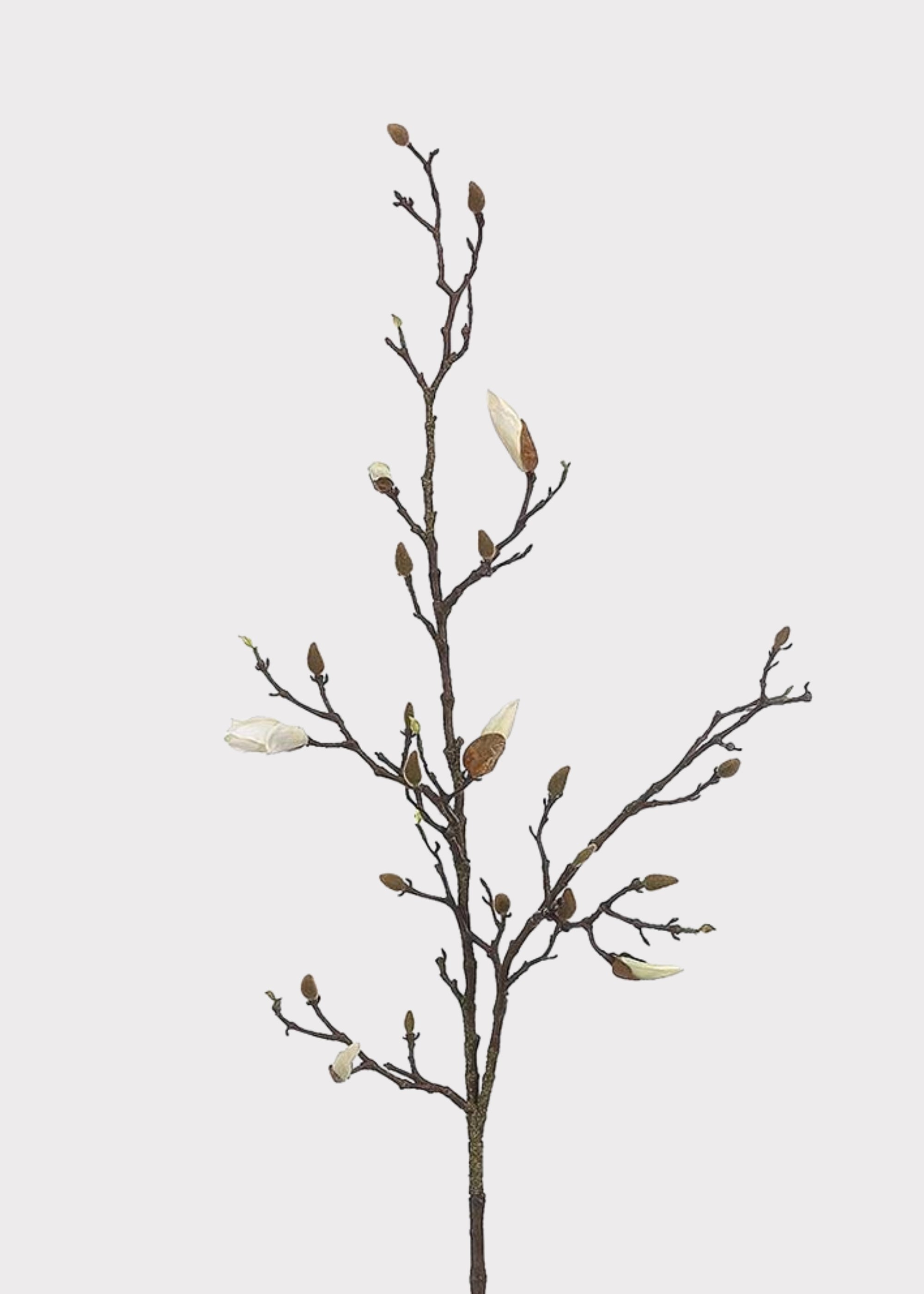 Cream White Tall Budding Magnolia Fake Flower Branch - 53"