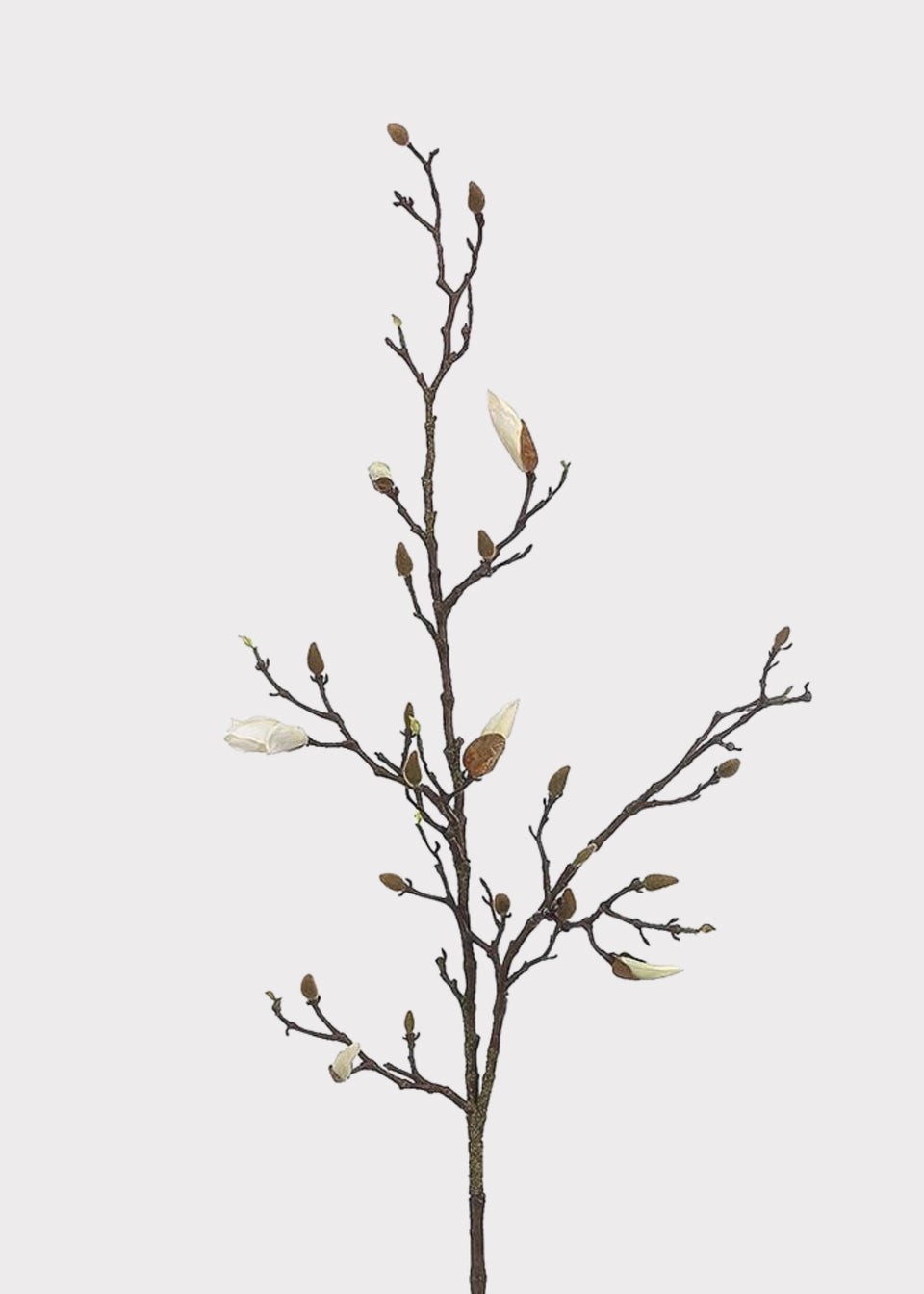 Cream White Tall Budding Magnolia Fake Flower Branch - 53"
