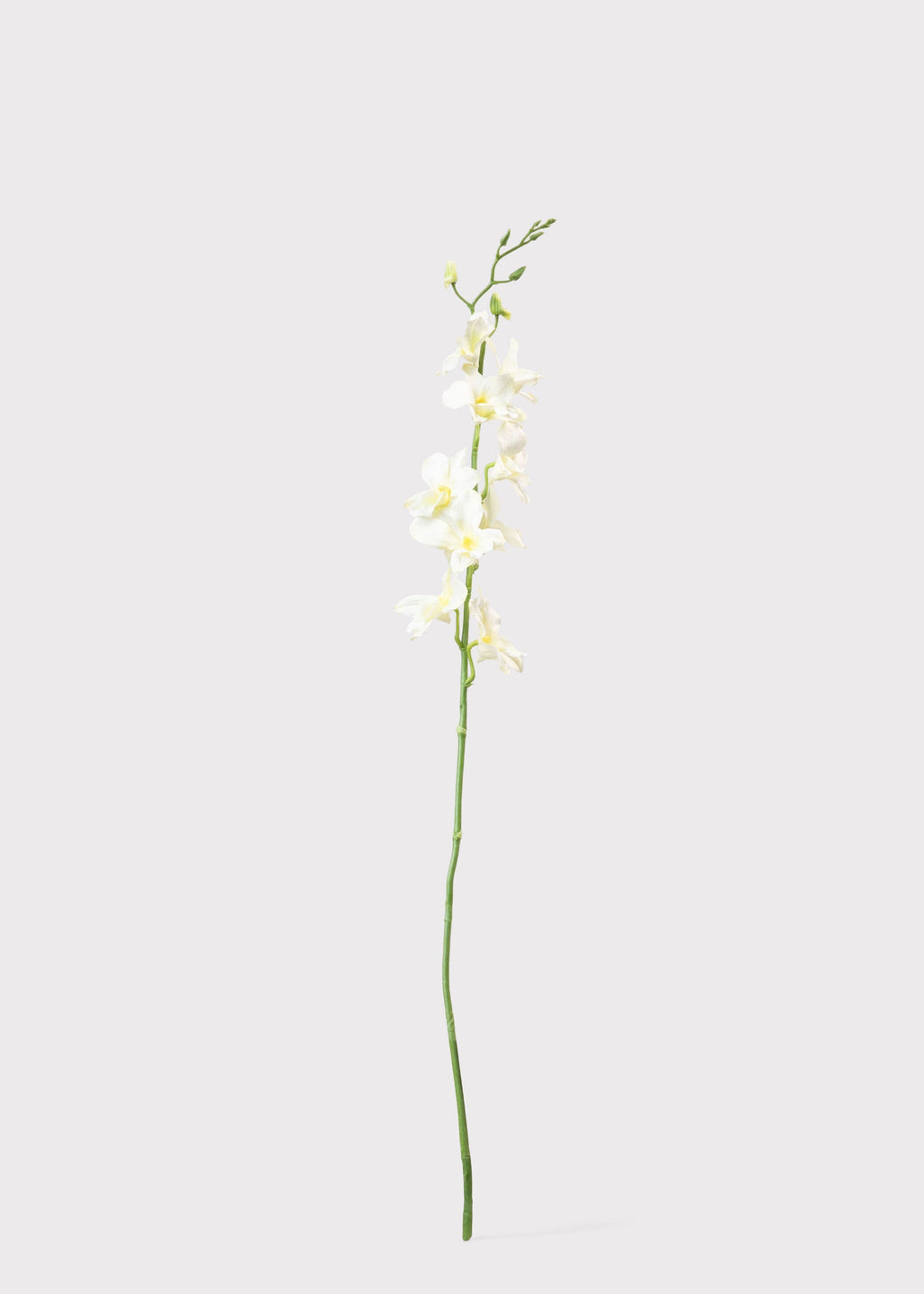 Cream Artificial Dendrobium Orchid Flower Branch - 35.5"