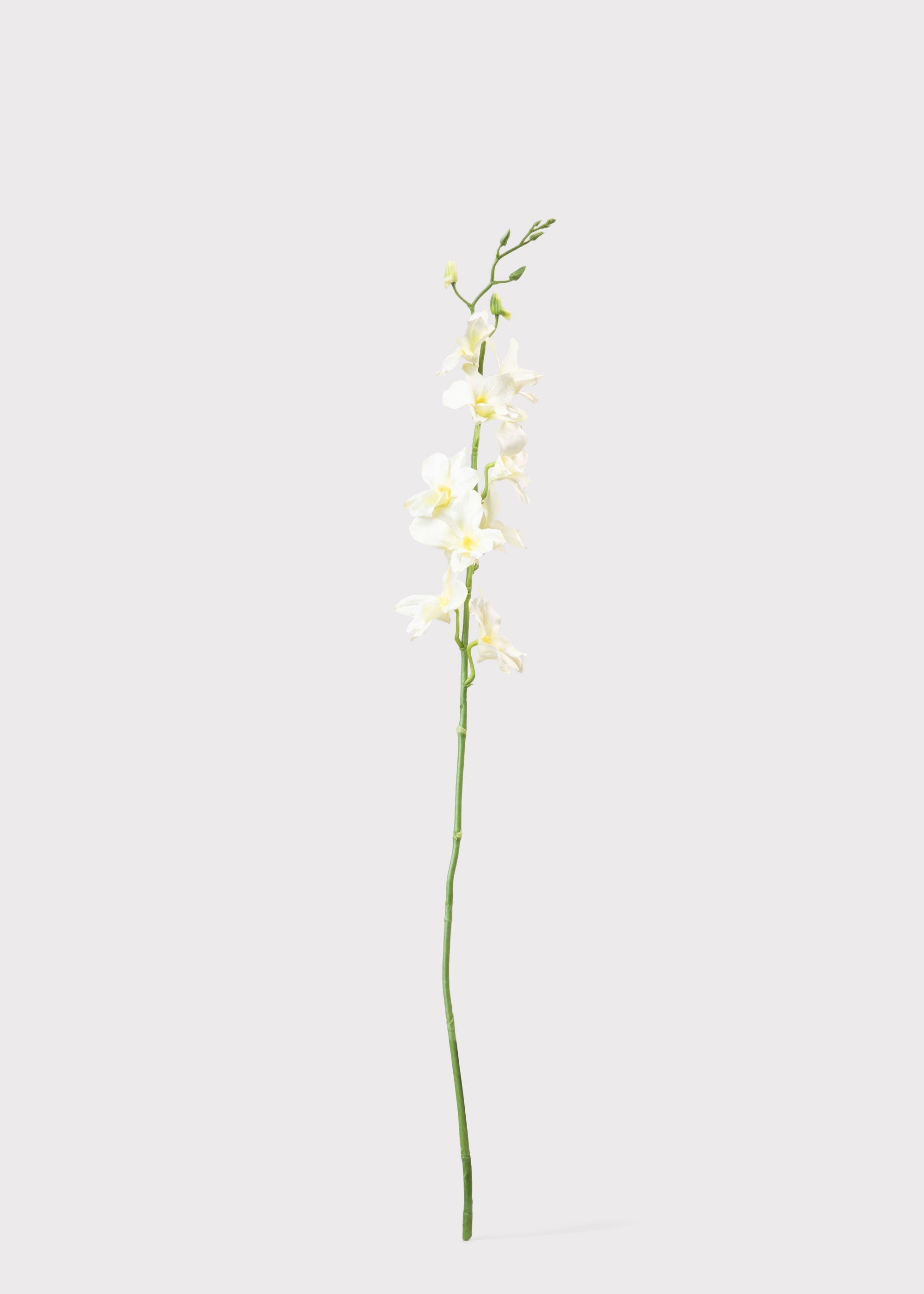 Cream Artificial Dendrobium Orchid Flower Branch - 35.5"