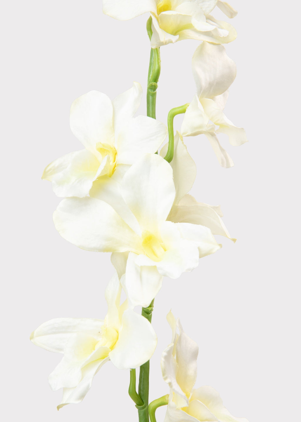 Cream Artificial Dendrobium Orchid Flower Branch - 35.5"