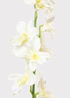 Cream Artificial Dendrobium Orchid Flower Branch - 35.5"