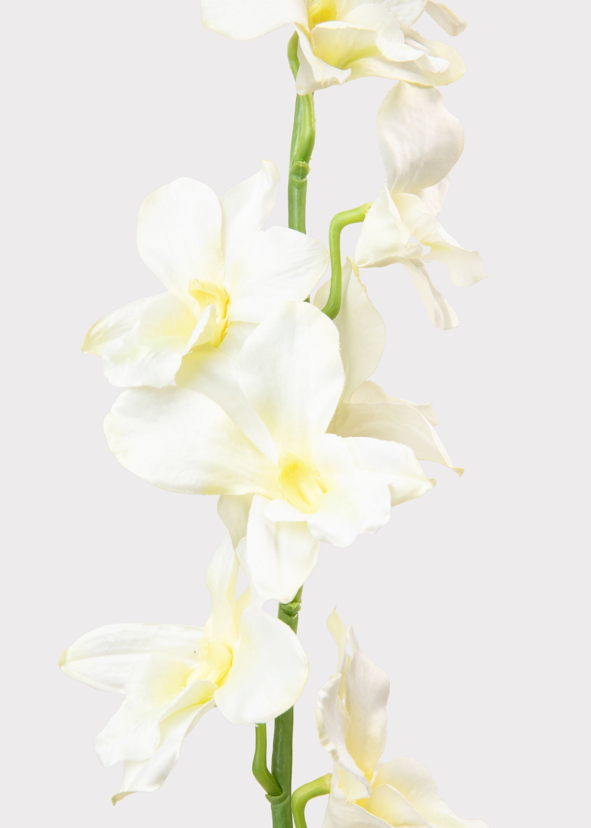 Cream Artificial Dendrobium Orchid Flower Branch - 35.5"