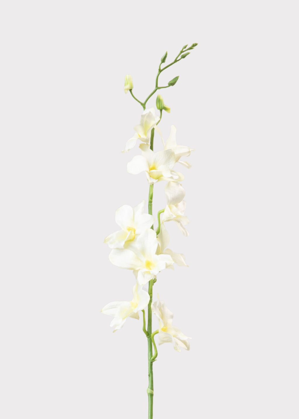 Cream Artificial Dendrobium Orchid Flower Branch - 35.5"