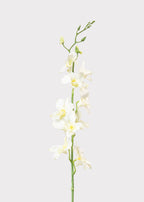 Cream Artificial Dendrobium Orchid Flower Branch - 35.5"