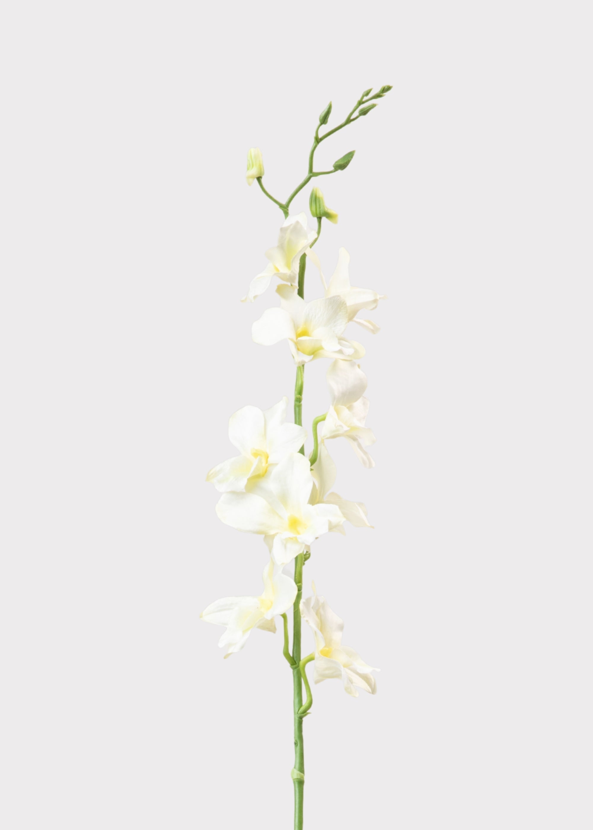 Cream Artificial Dendrobium Orchid Flower Branch - 35.5"