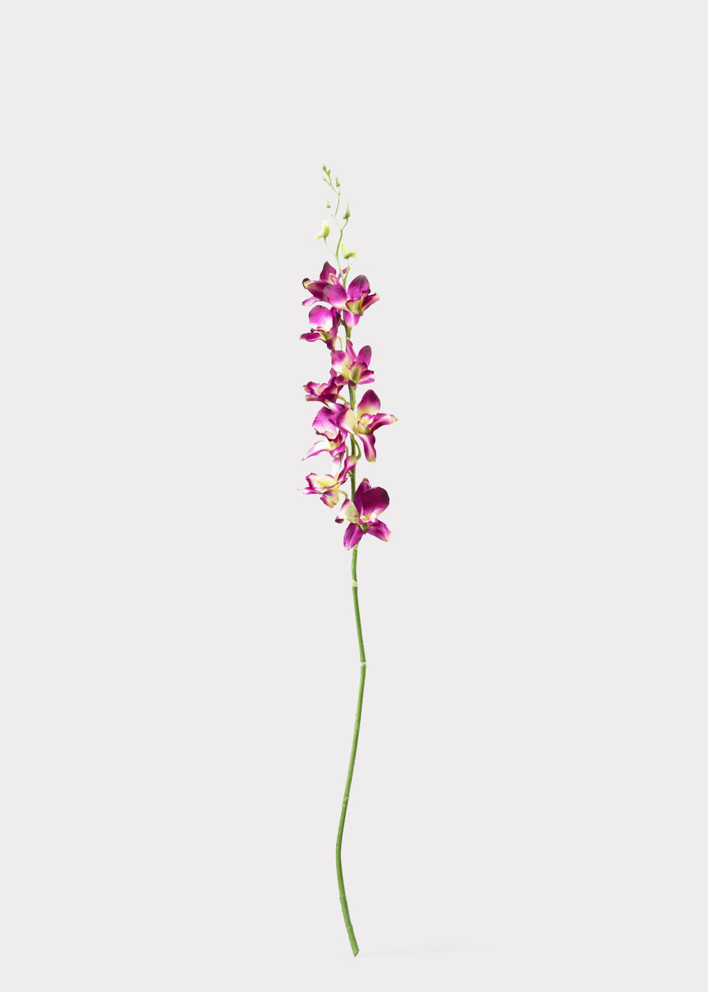 Purple Artificial Dendrobium Orchid Flower Branch - 35.5"