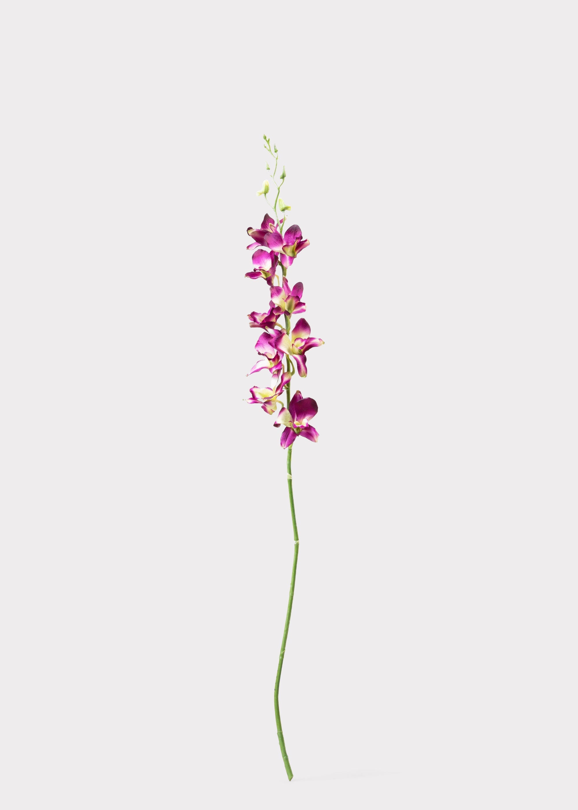 Purple Artificial Dendrobium Orchid Flower Branch - 35.5"