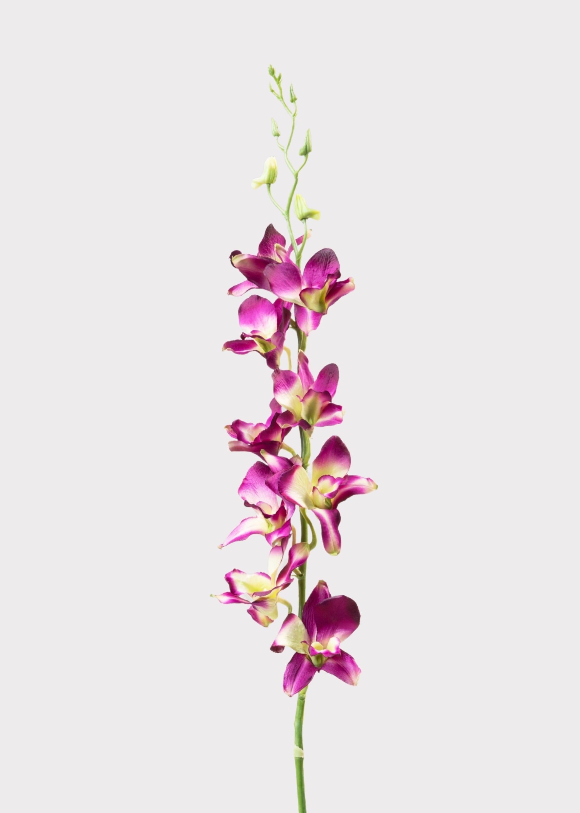 Purple Artificial Dendrobium Orchid Flower Branch - 35.5"