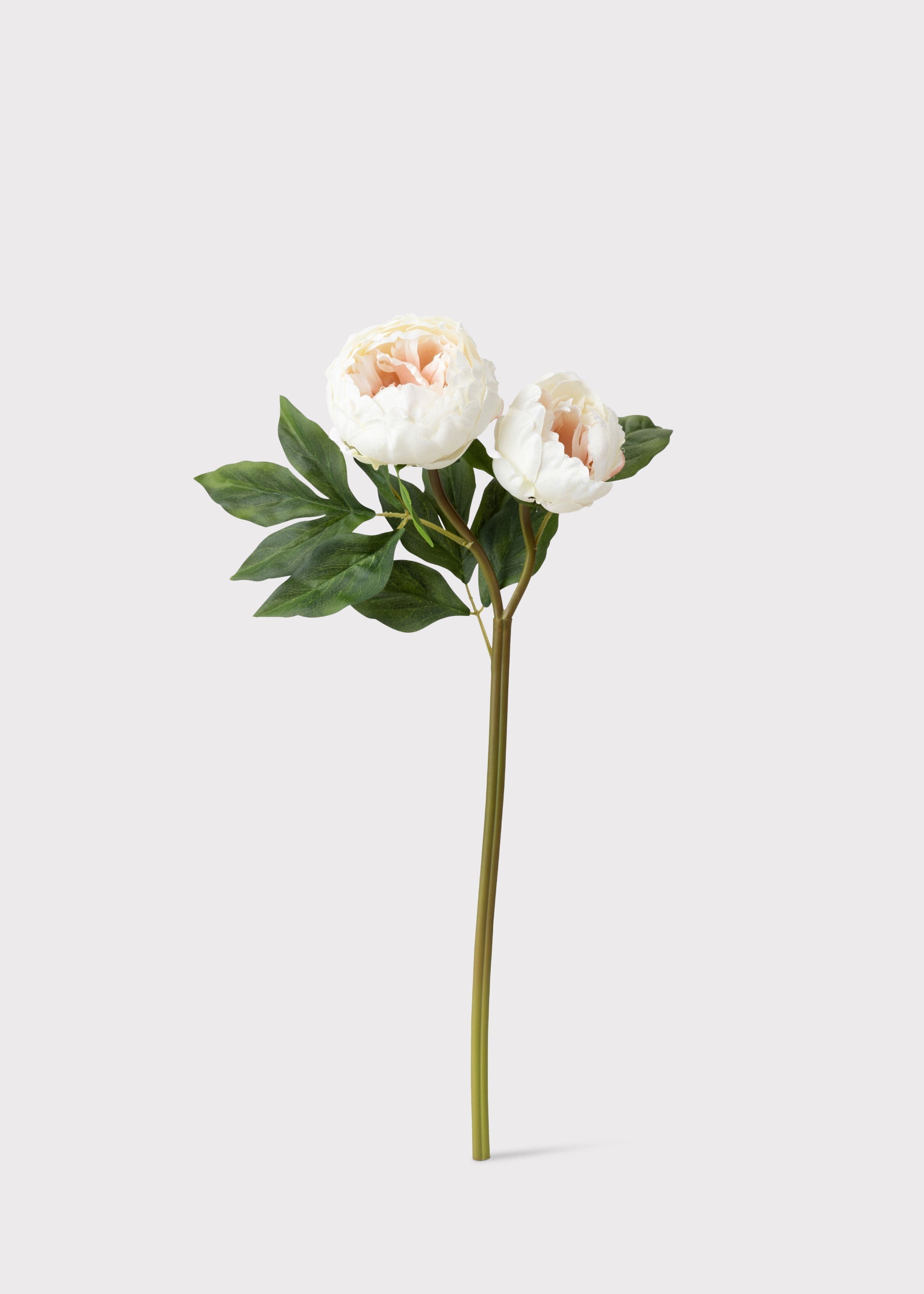 Cream Artificial Peony Flowers - 22"