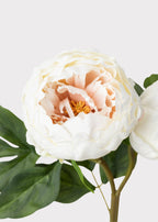 Cream Artificial Peony Flowers - 22"