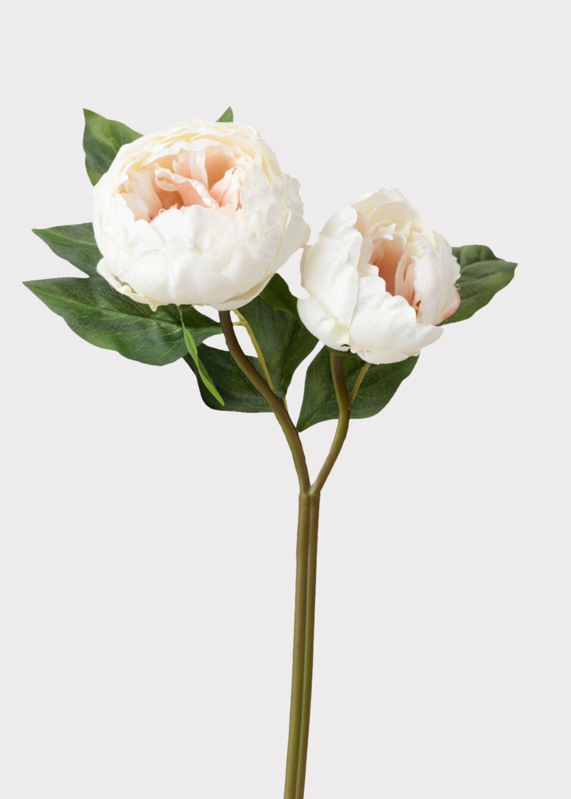 Cream Artificial Peony Flowers - 22"
