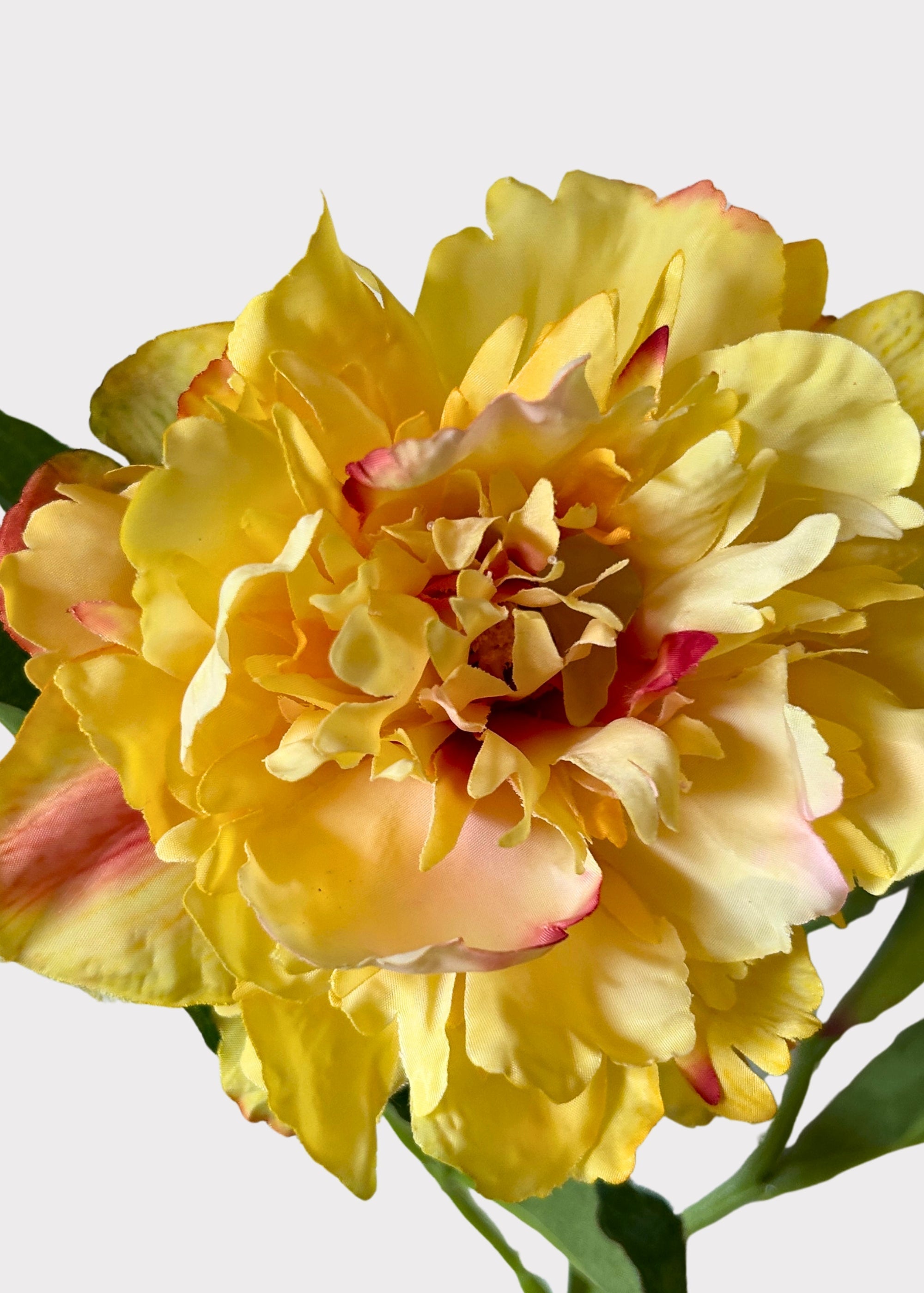 Fake Peony Flower in Golden Sunset - 28"