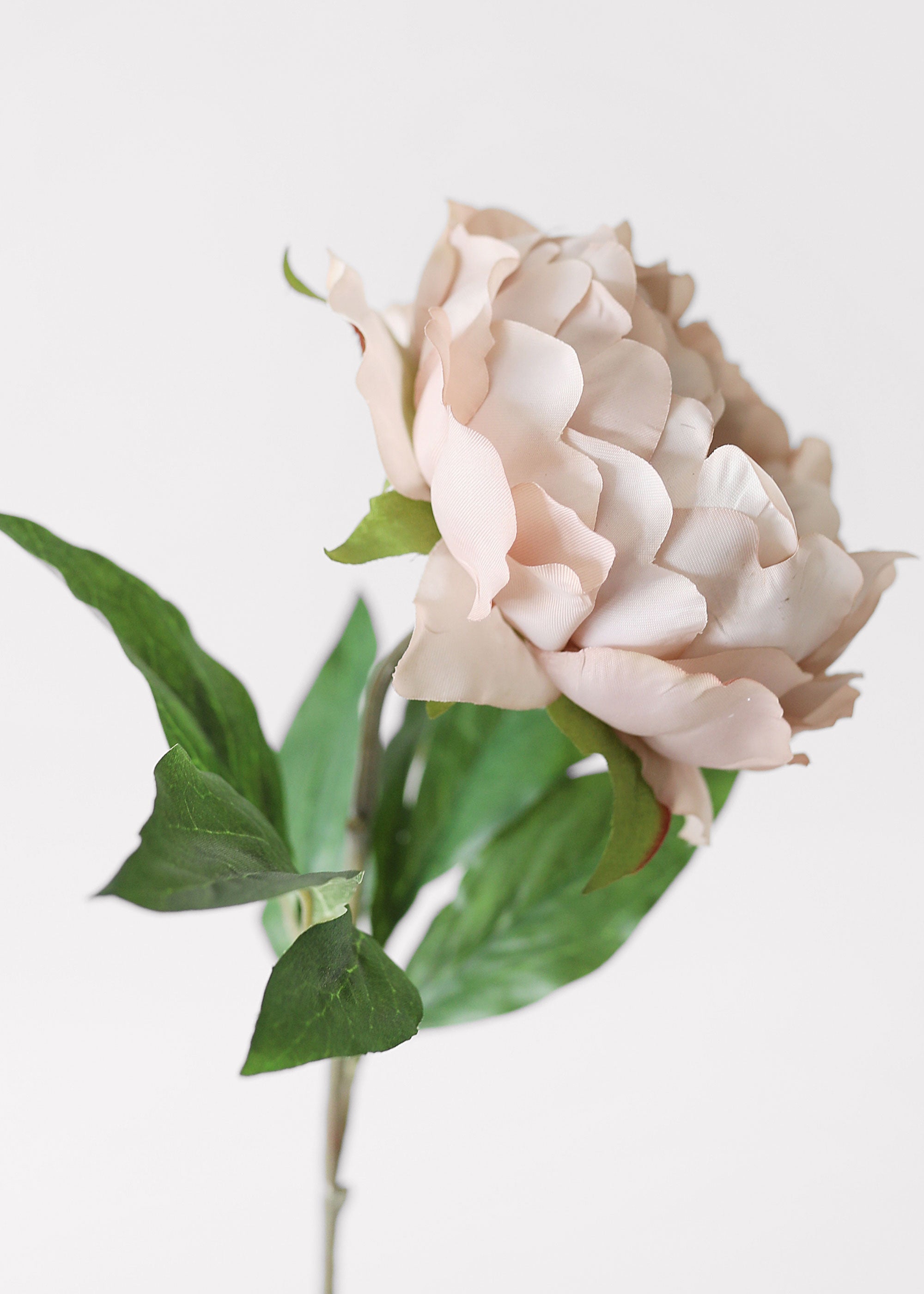 Artificial Peony Flower in Mauve Beige - 18.5"