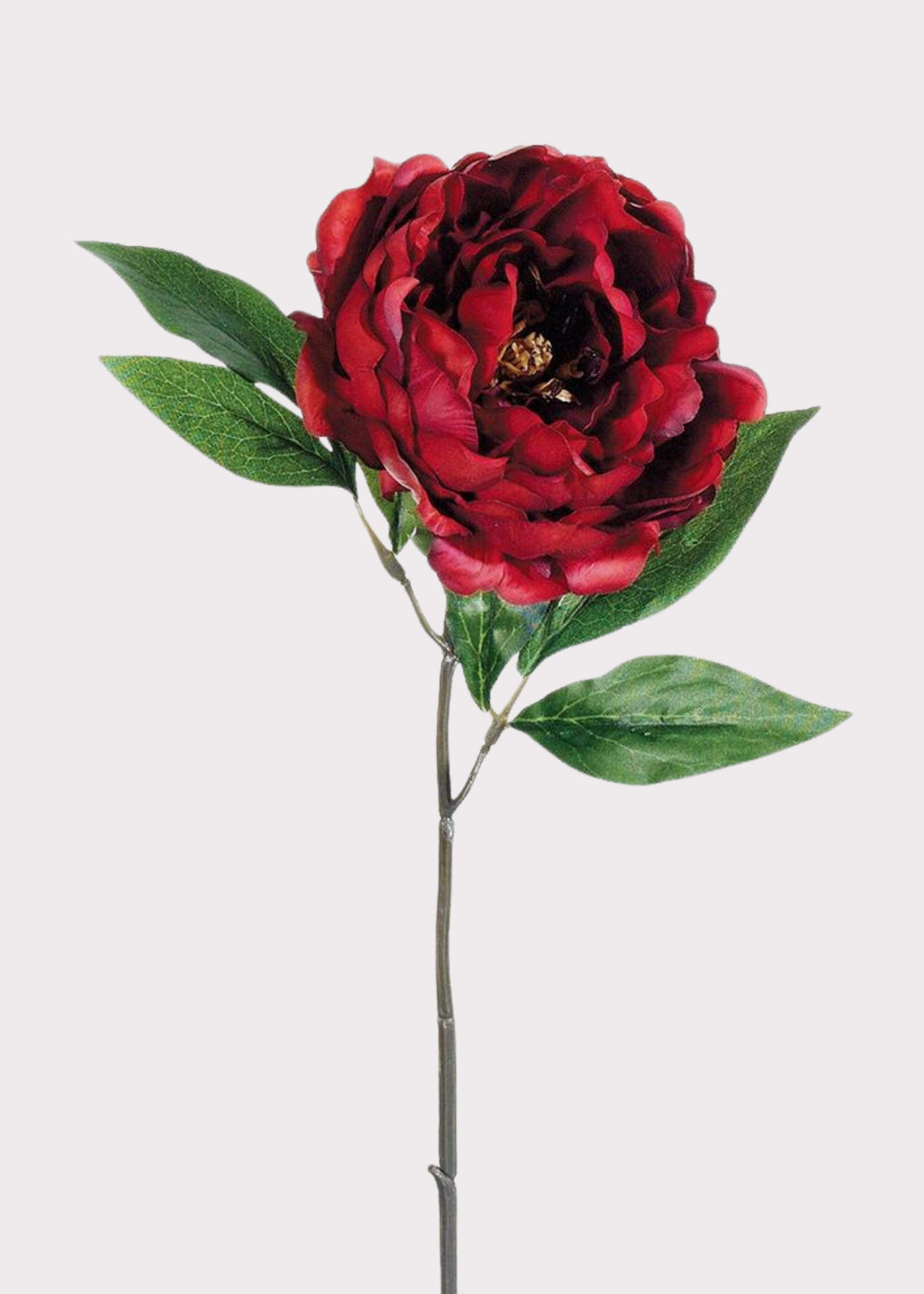 Red Burgundy Artificial Peony Flower - 18.5"