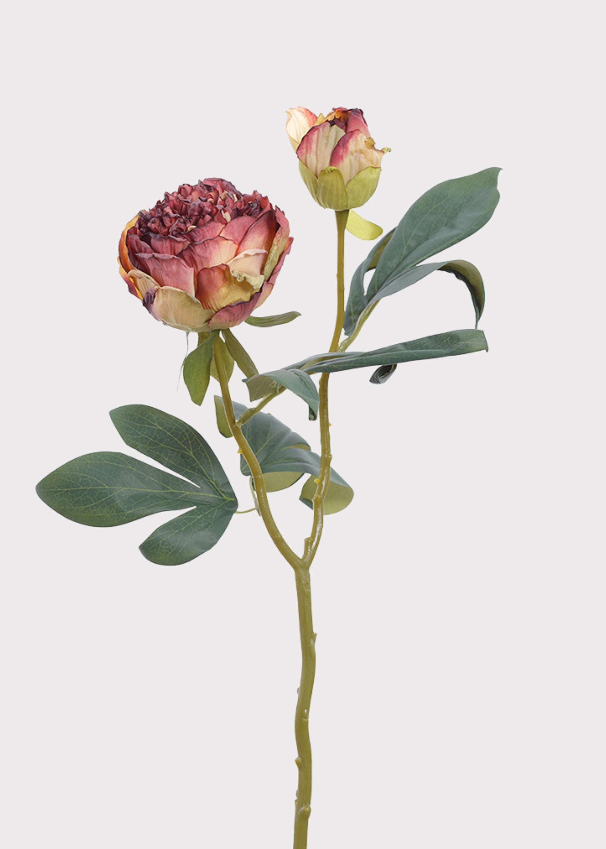 Burgundy Artificial Petite Peony Flower - 19"