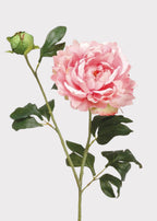 Fake Flower Peony in Pink - 31"