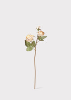 Dried Look Fake Roses in Beige - 21"