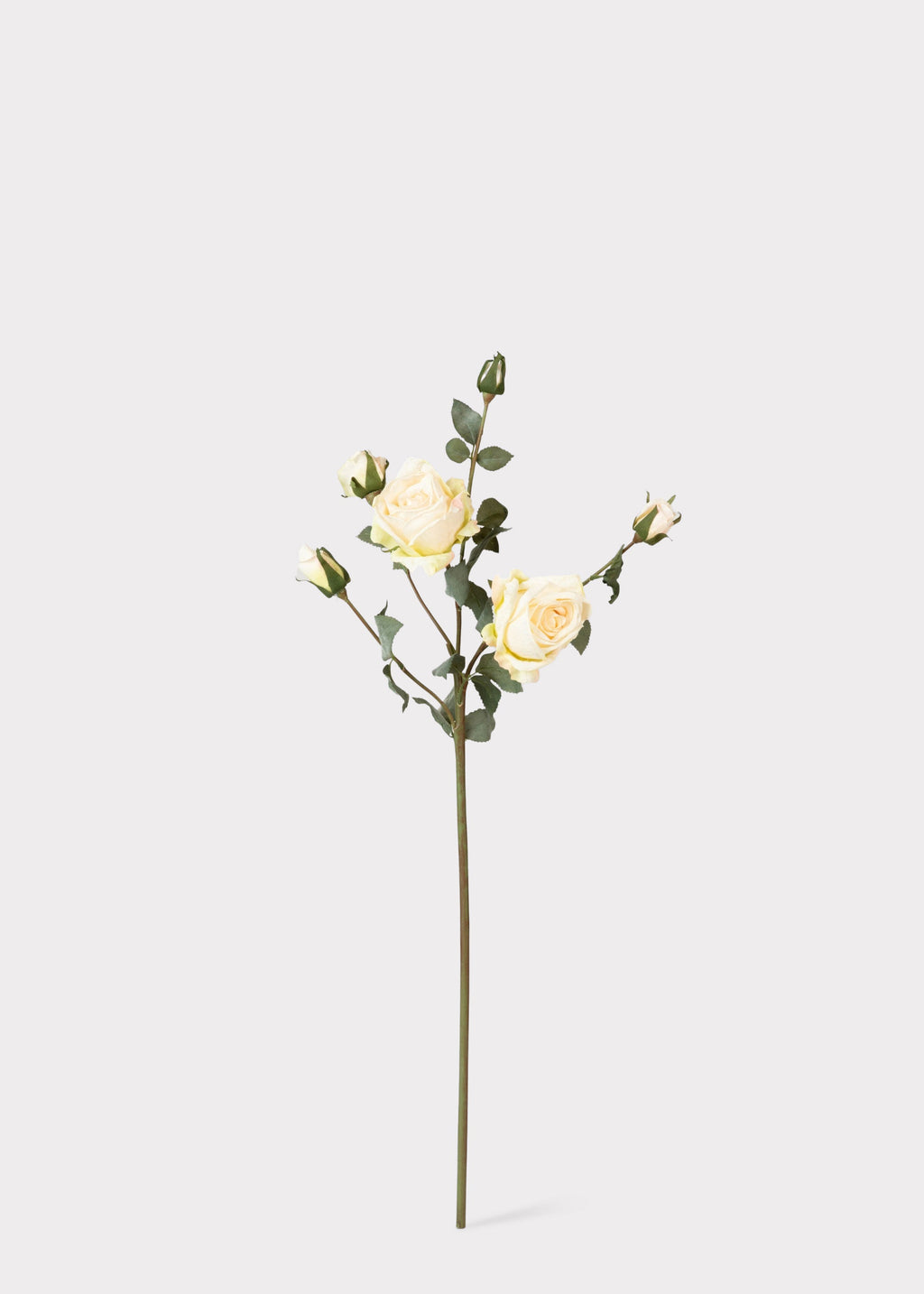 Artificial Roses in Cream - 27.5"